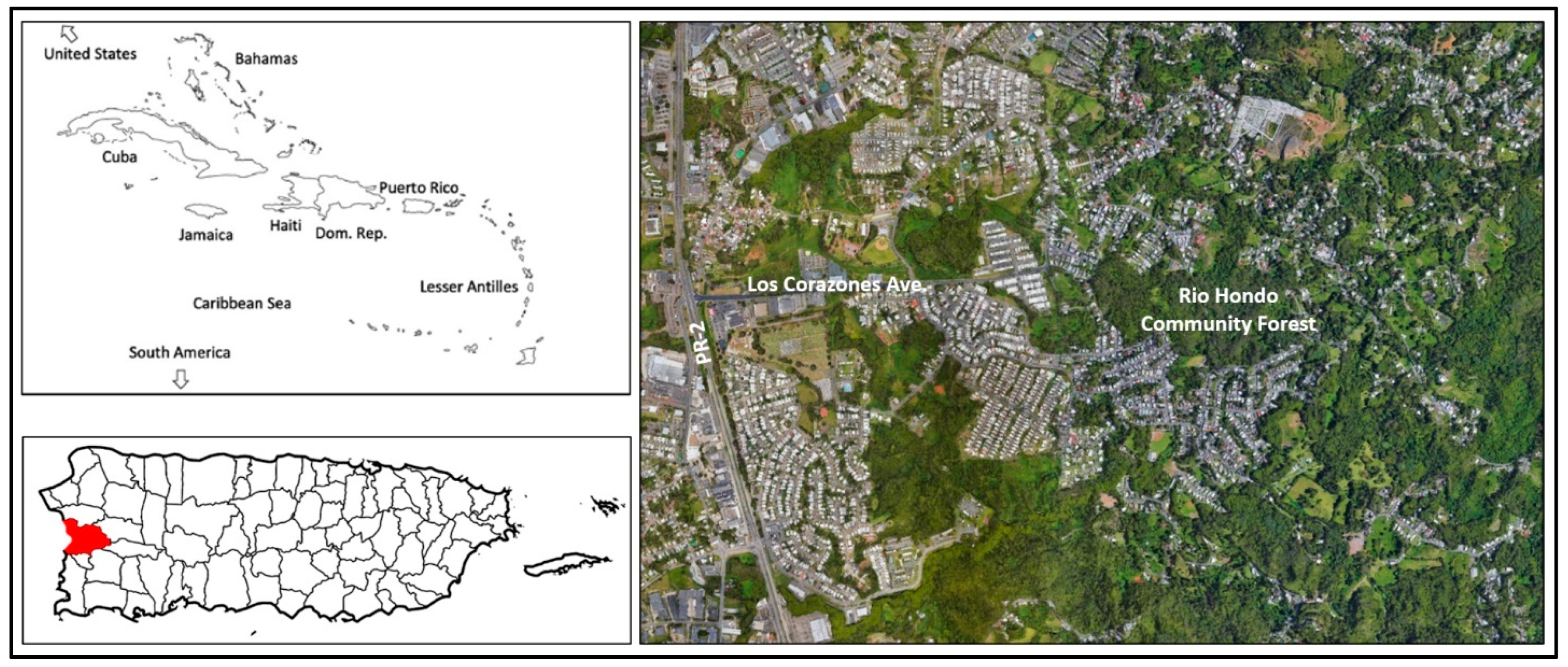 Insights - In conservation, every acre counts