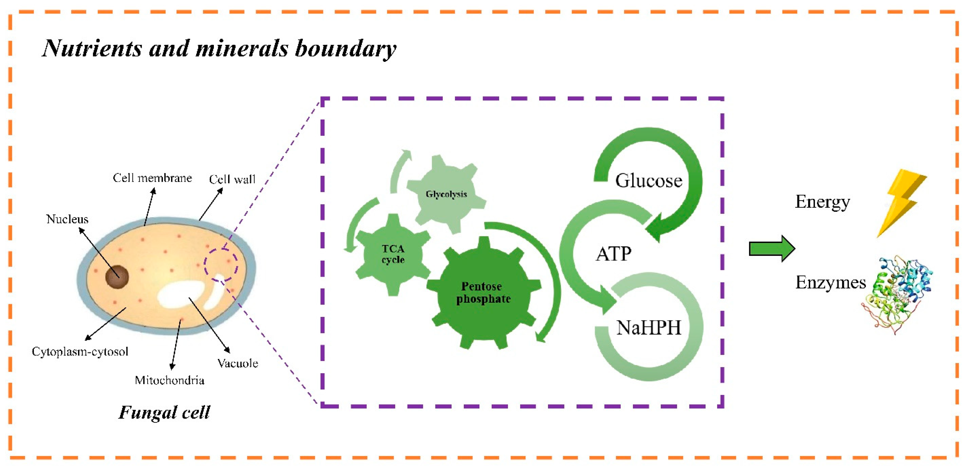 Sustainability 15 15559 g007