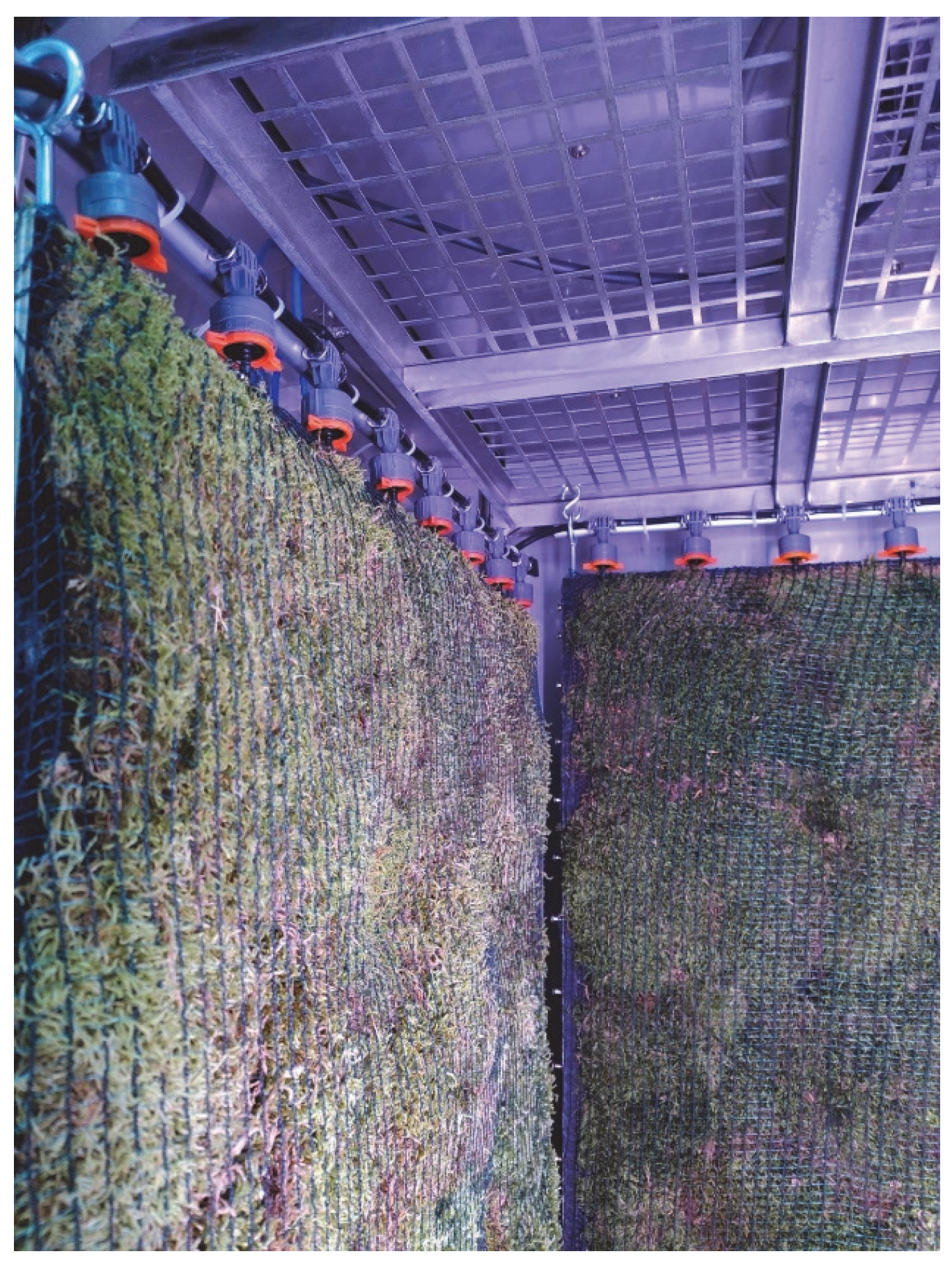 Sustainability 15 15625 g006