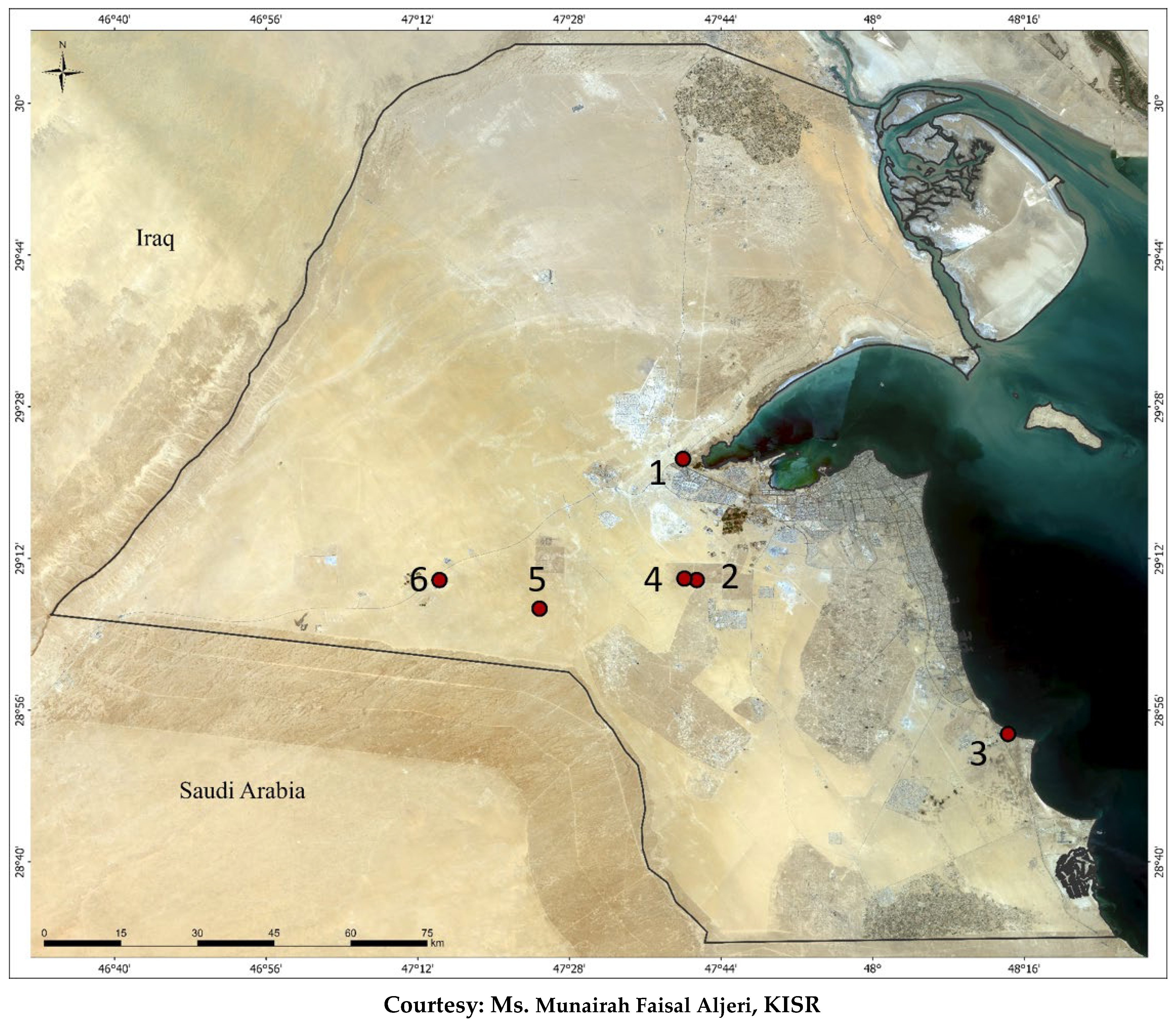 Sustainability 15 15904 g001 Sustainability 15 15904 g001