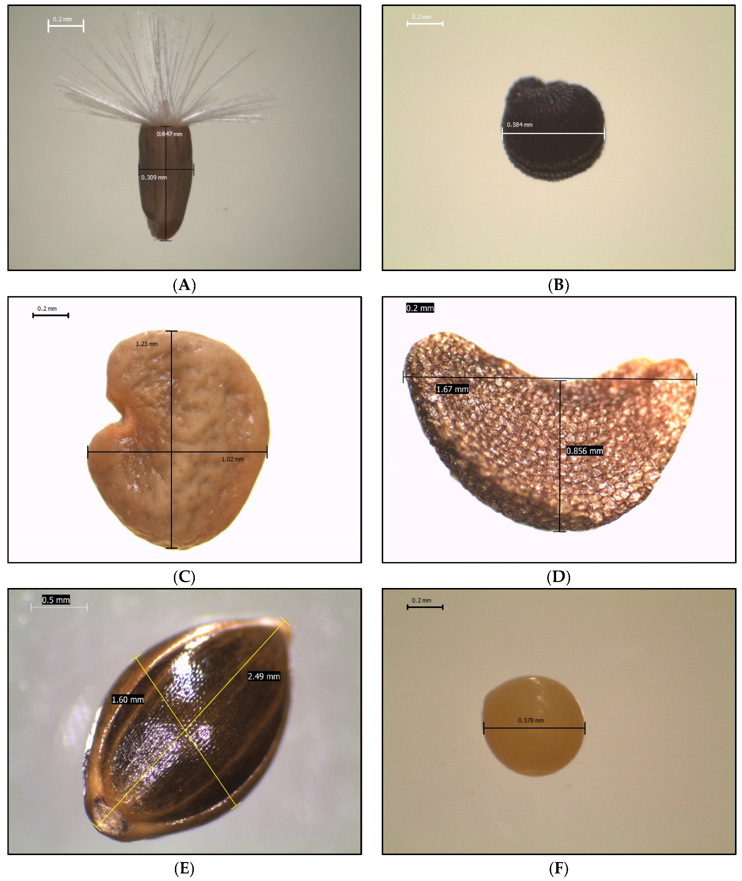 Sustainability 15 15904 g002 Sustainability 15 15904 g002