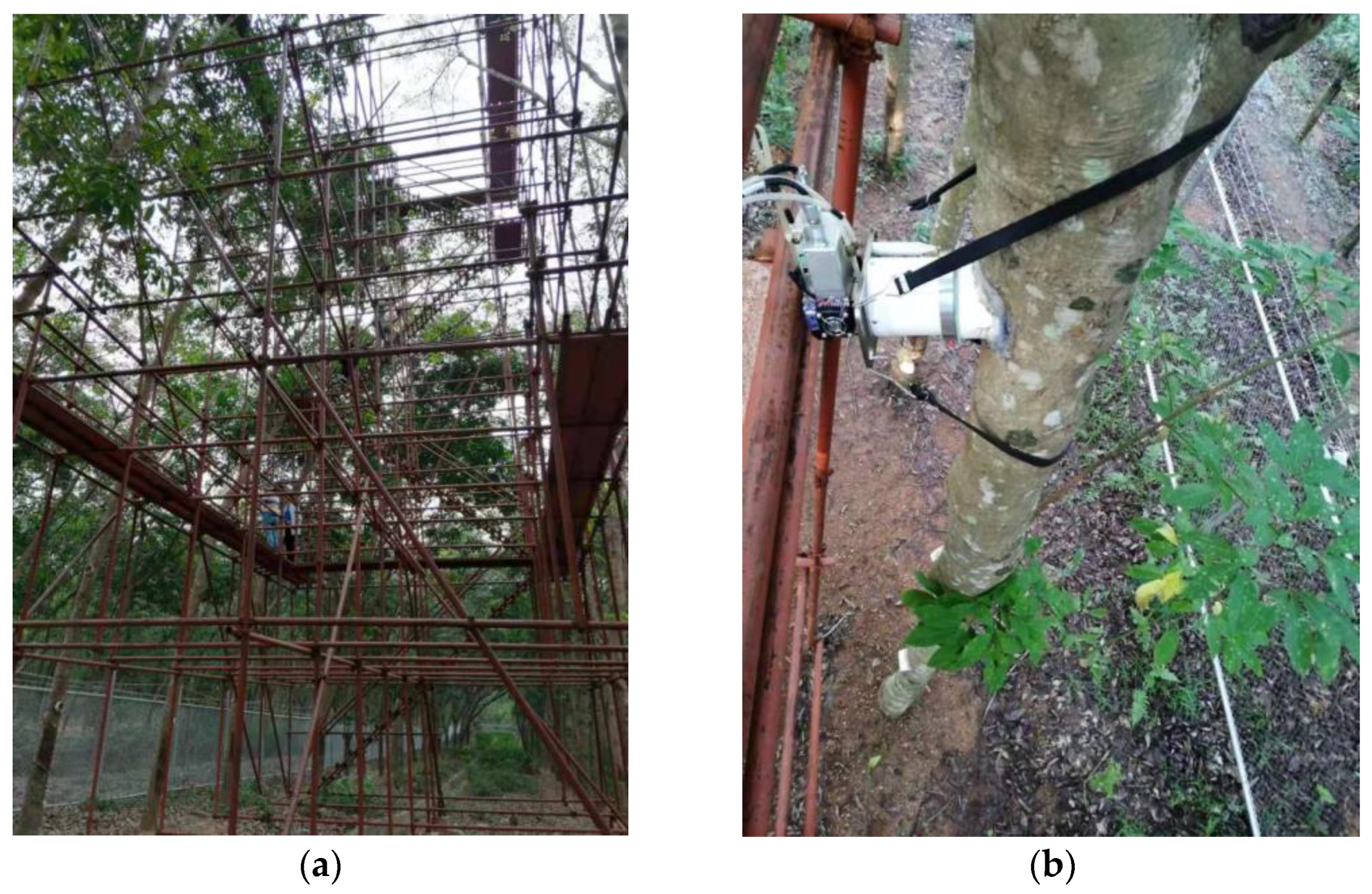 Sustainability 15 16050 g002 Sustainability 15 16050 g002