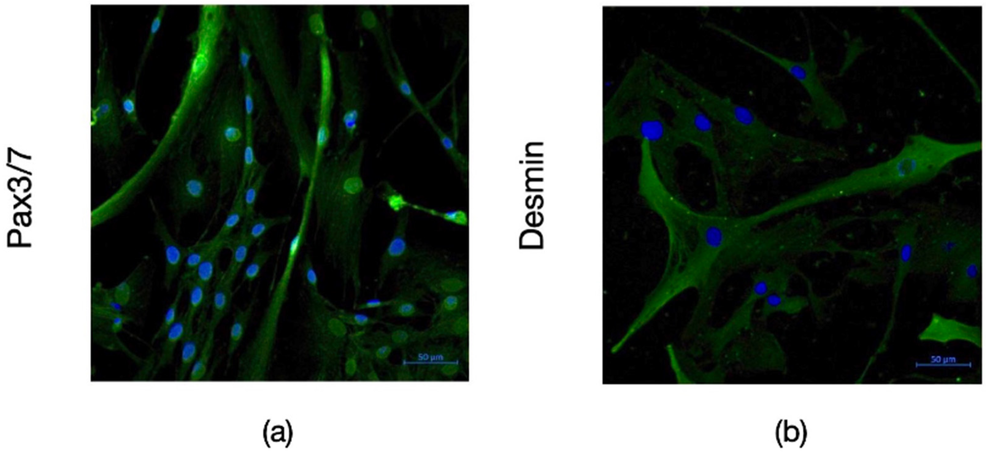 Sustainability 15 16164 g002