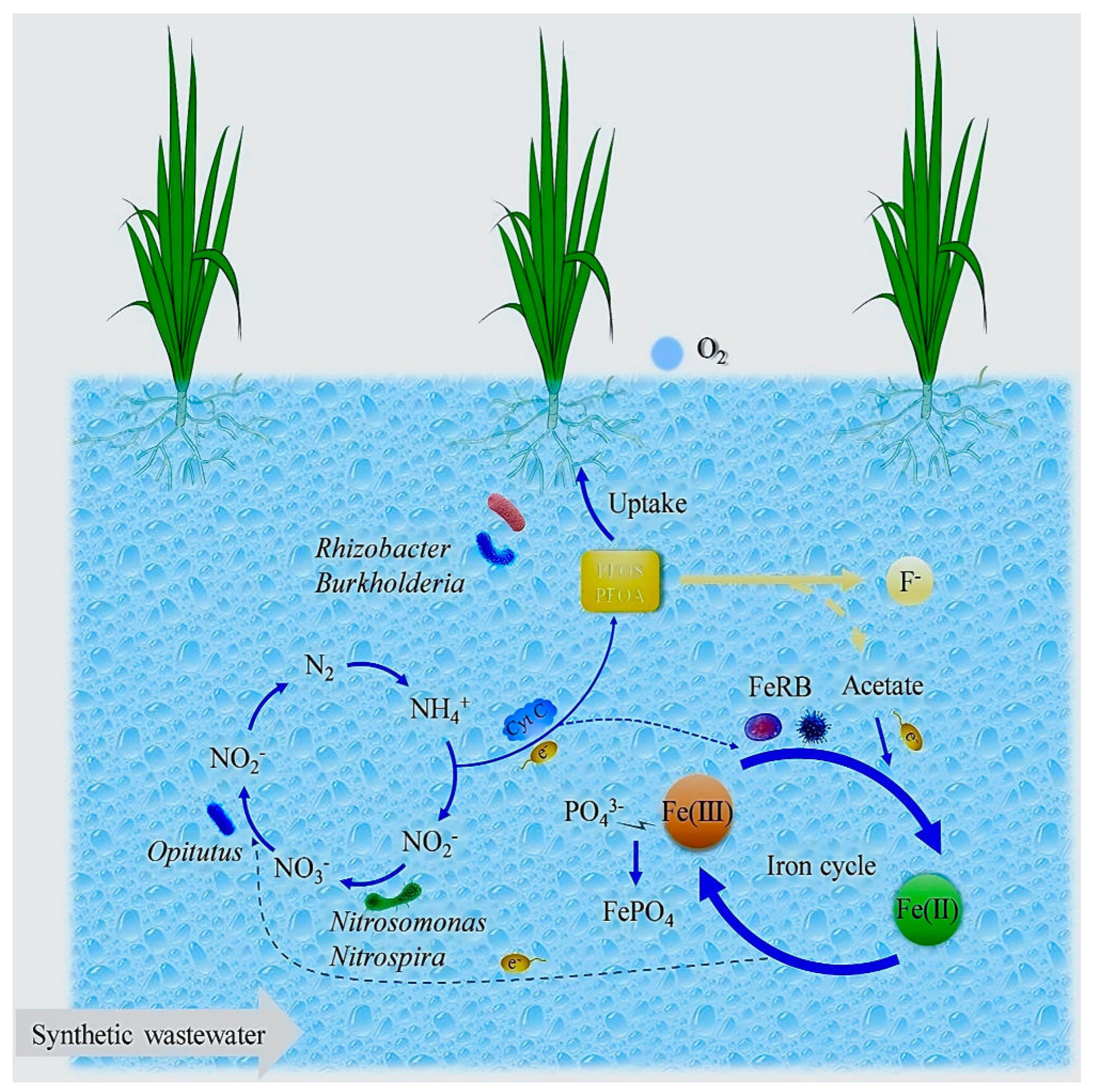 Sustainability 15 16173 g009