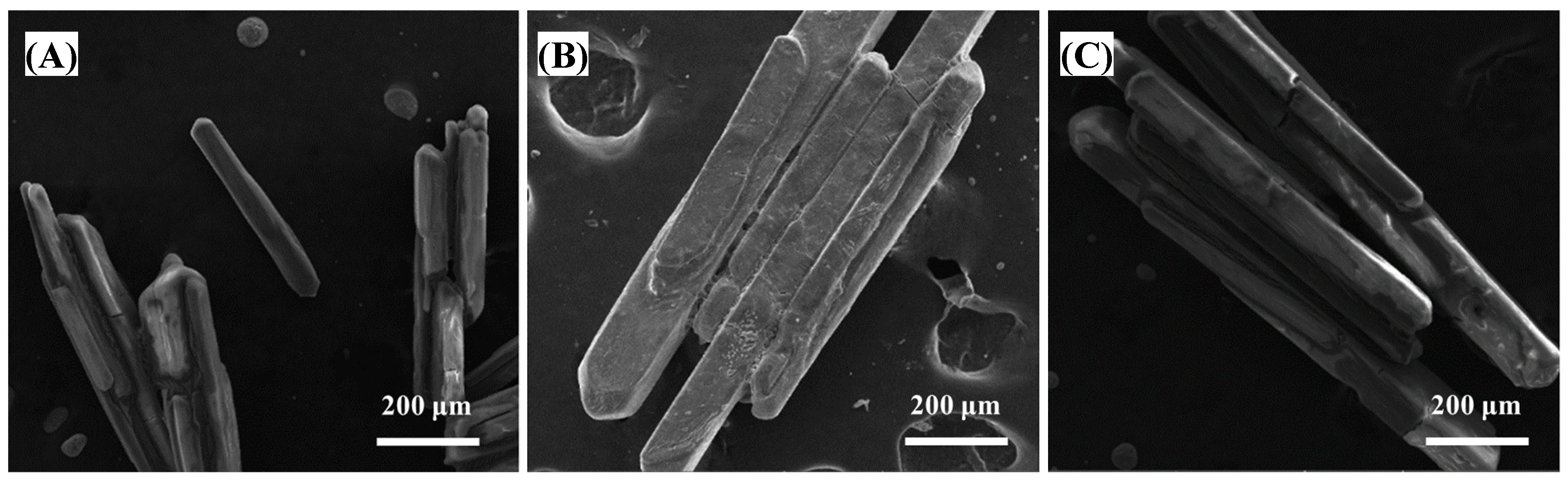 Sustainability 15 16275 g005