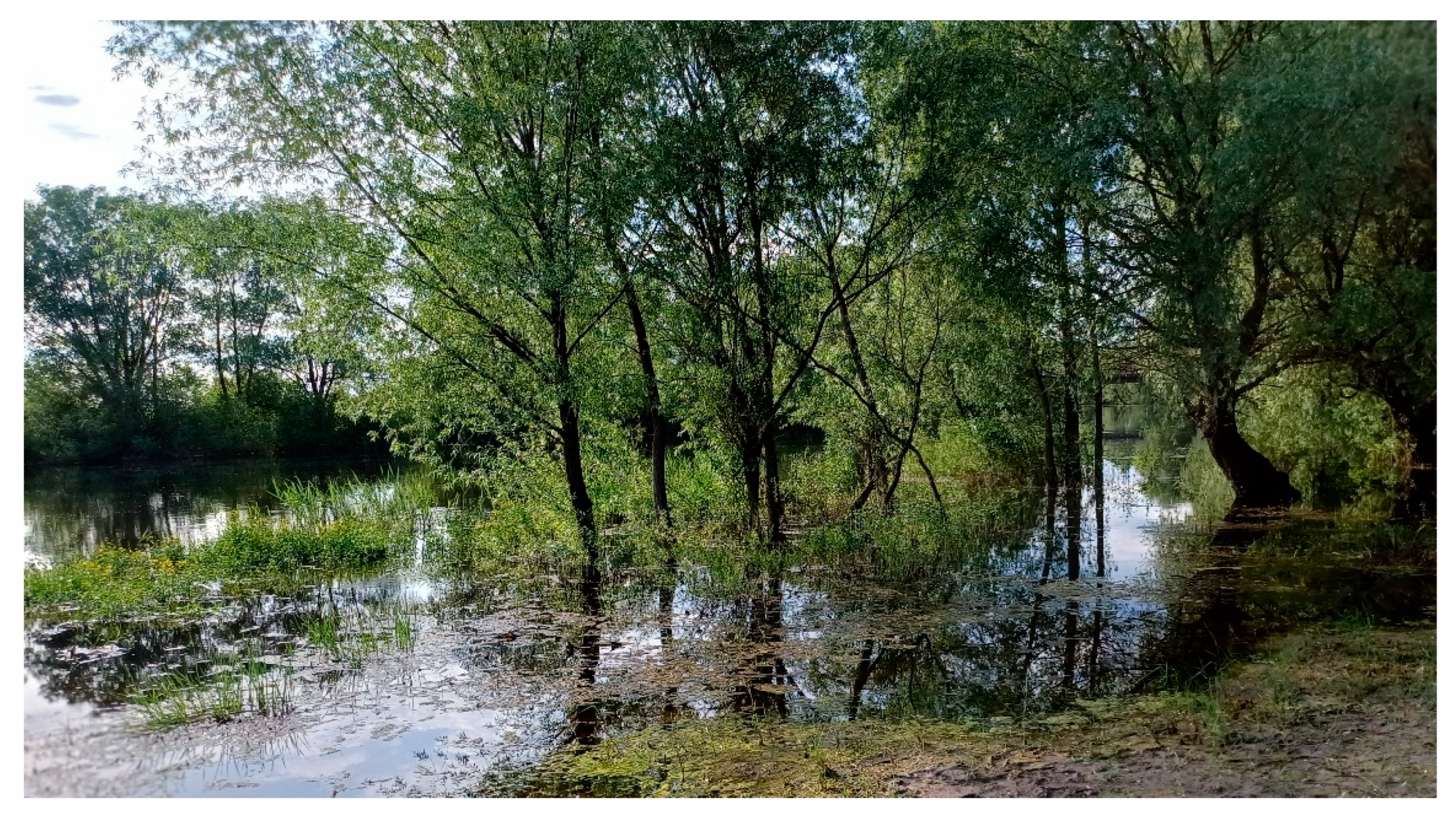 Sustainability 15 16316 g003