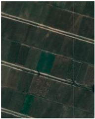 Sustainability 15 16343 i005