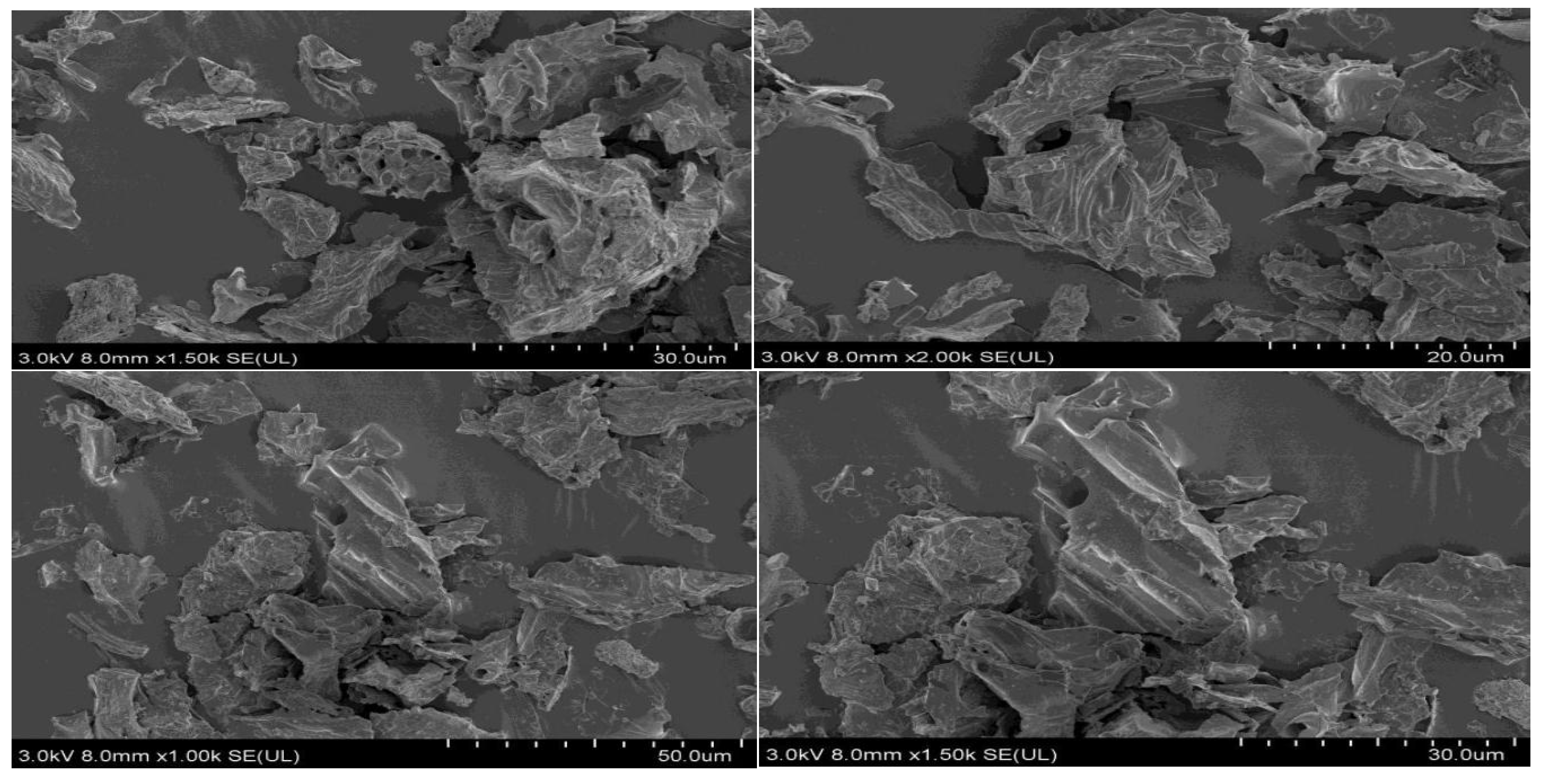 Sustainability 15 16348 g002