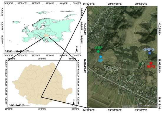 Sustainability Free Full Text The Influence of Groves on  