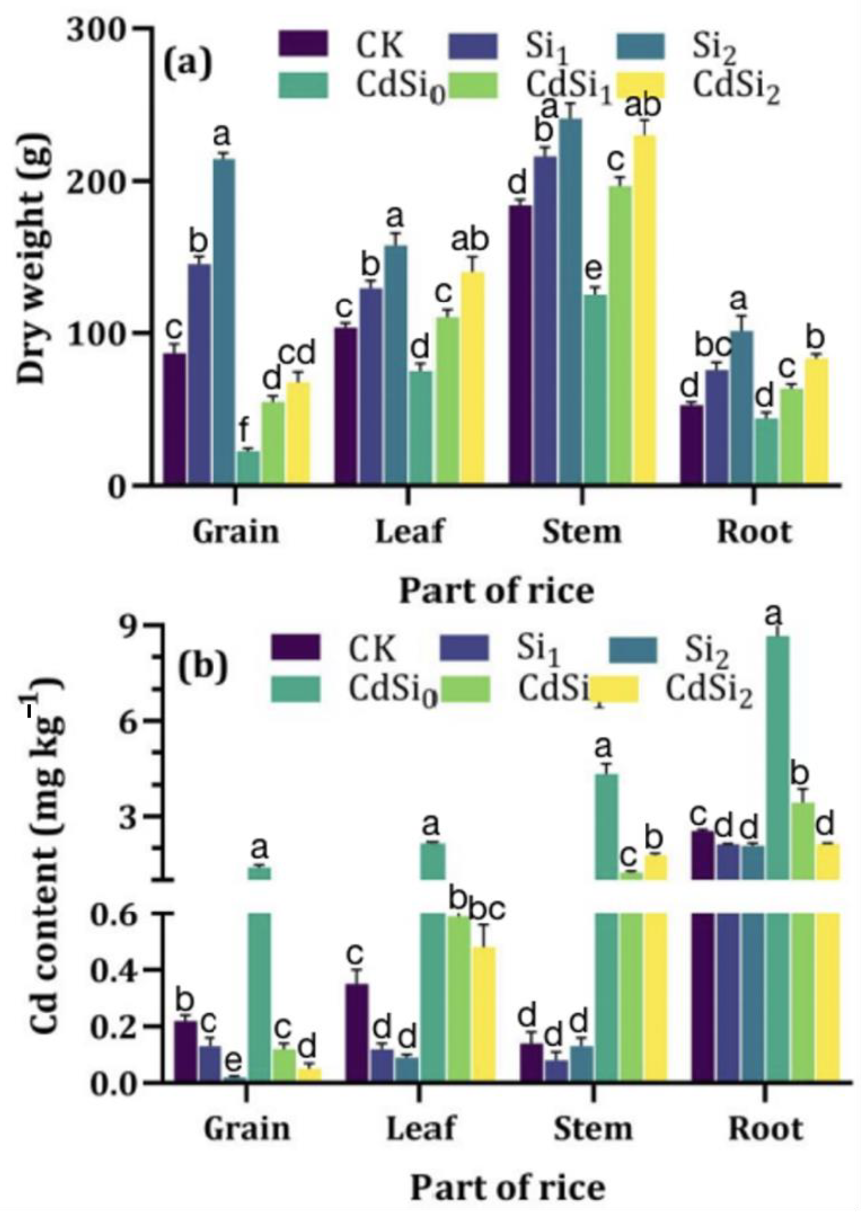 Sustainability 15 16552 g002
