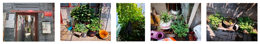 Sustainability 15 16566 i007