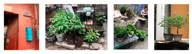 Sustainability 15 16566 i021