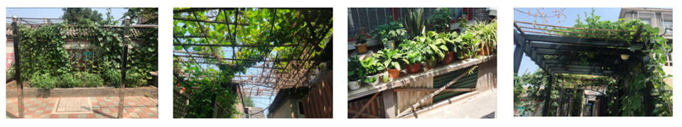 Sustainability 15 16566 i022