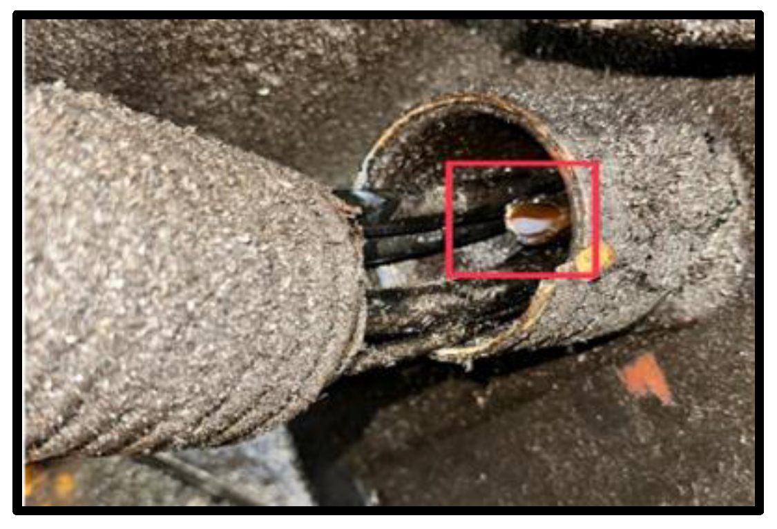 Sustainability 15 16583 g006