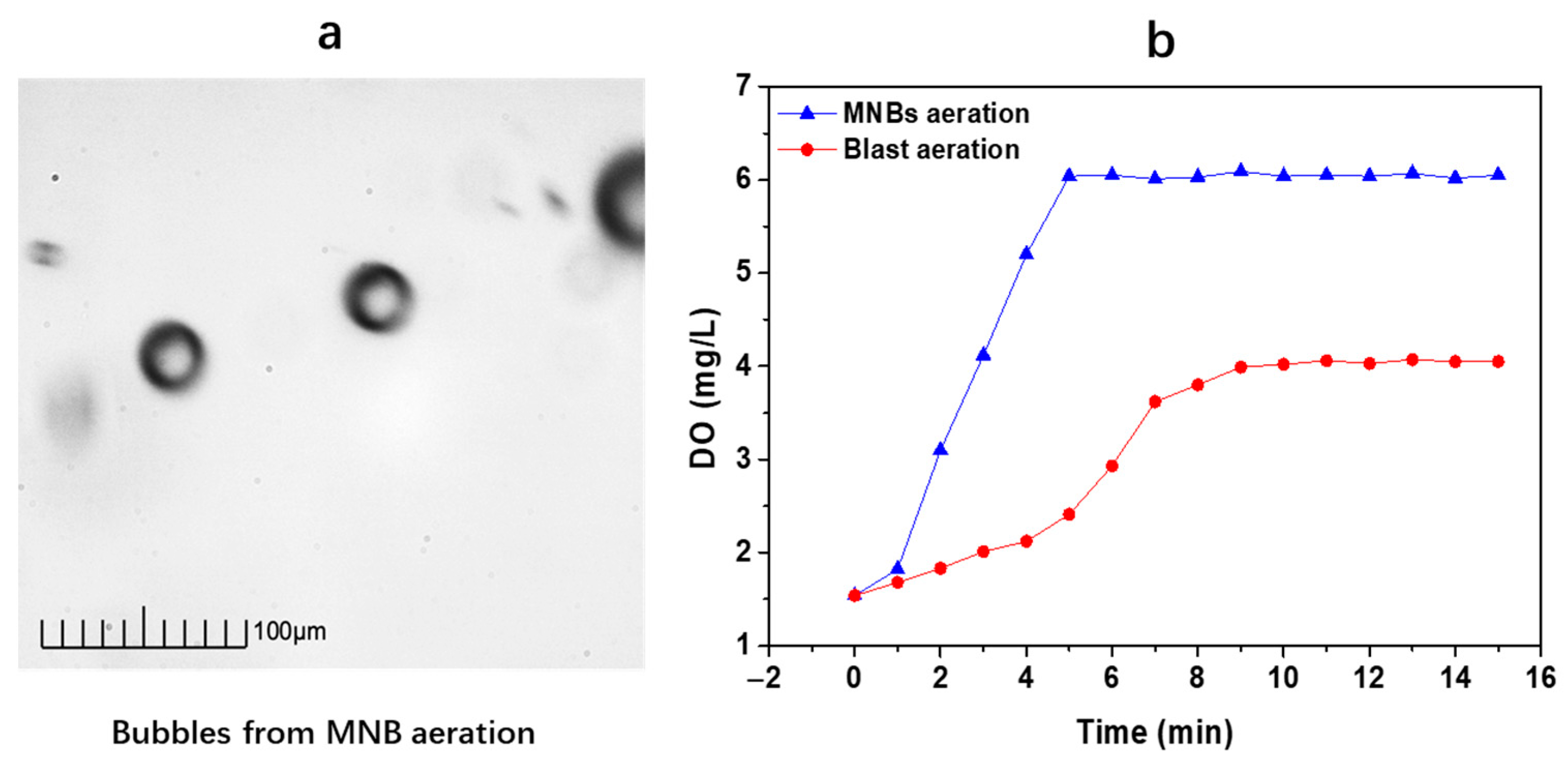 Sustainability 15 16695 g002
