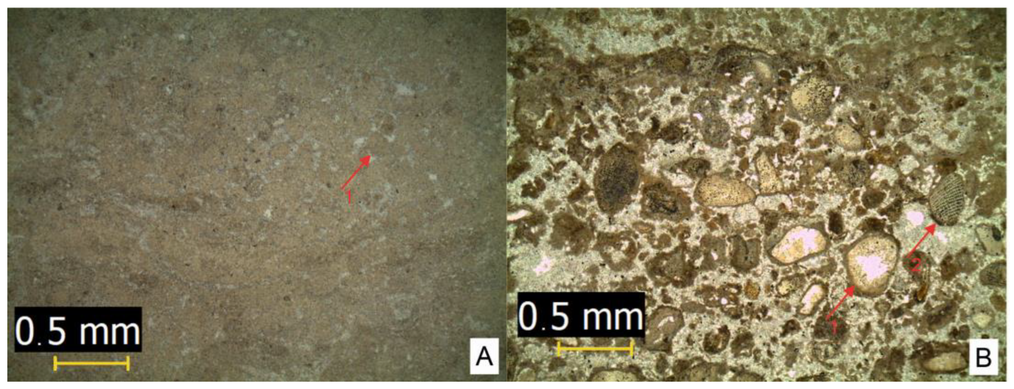 Sustainability 15 16863 g007