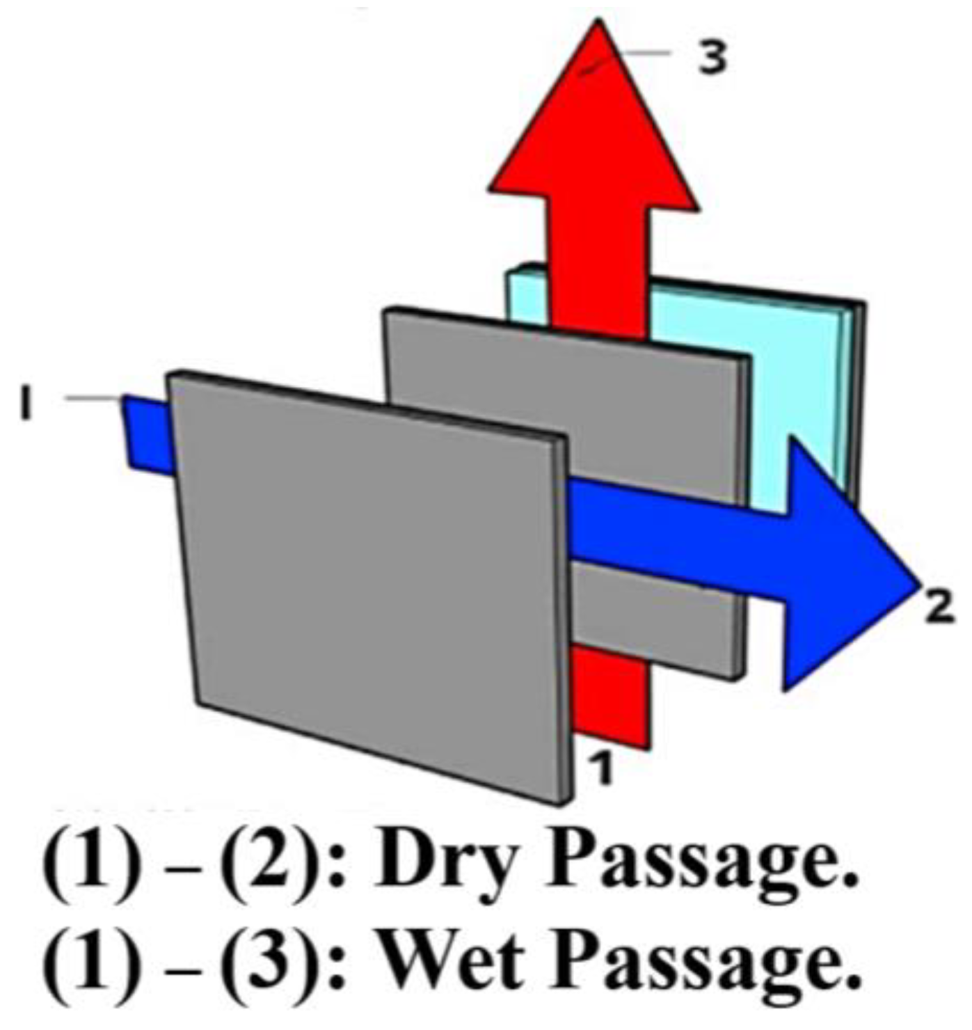 Sustainability 15 16907 g005