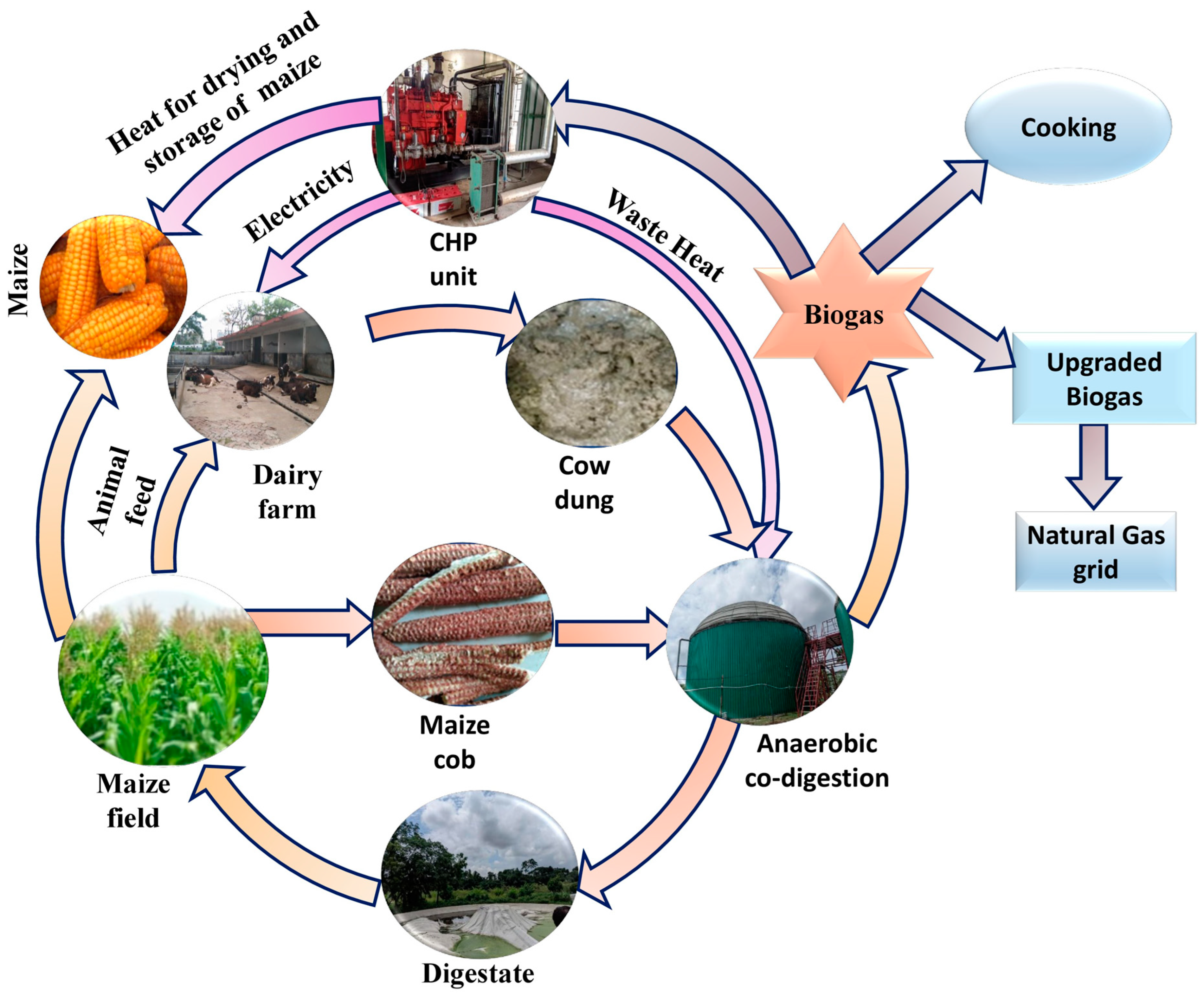 Sustainability 16 00104 g001