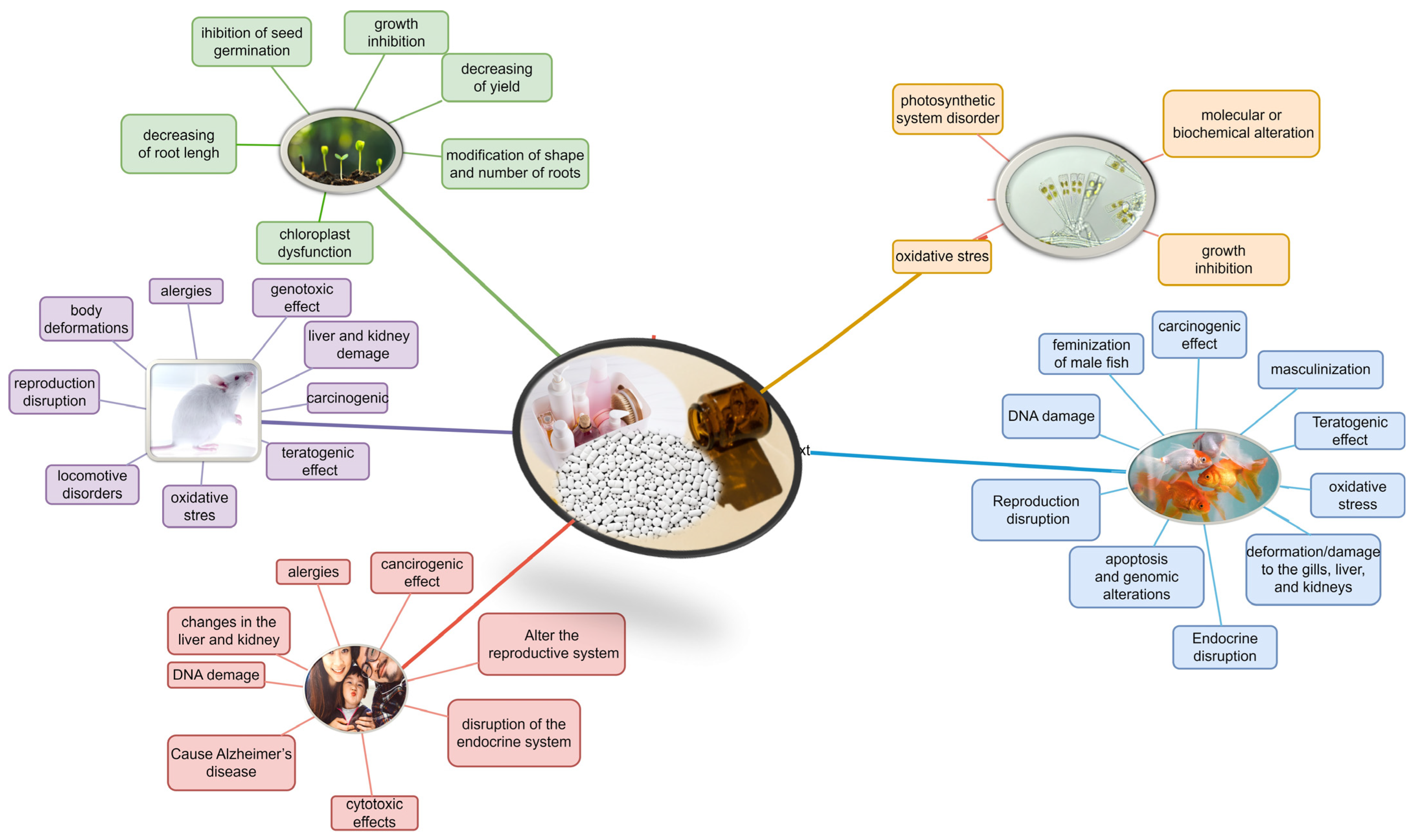 Sustainability 16 00169 g004