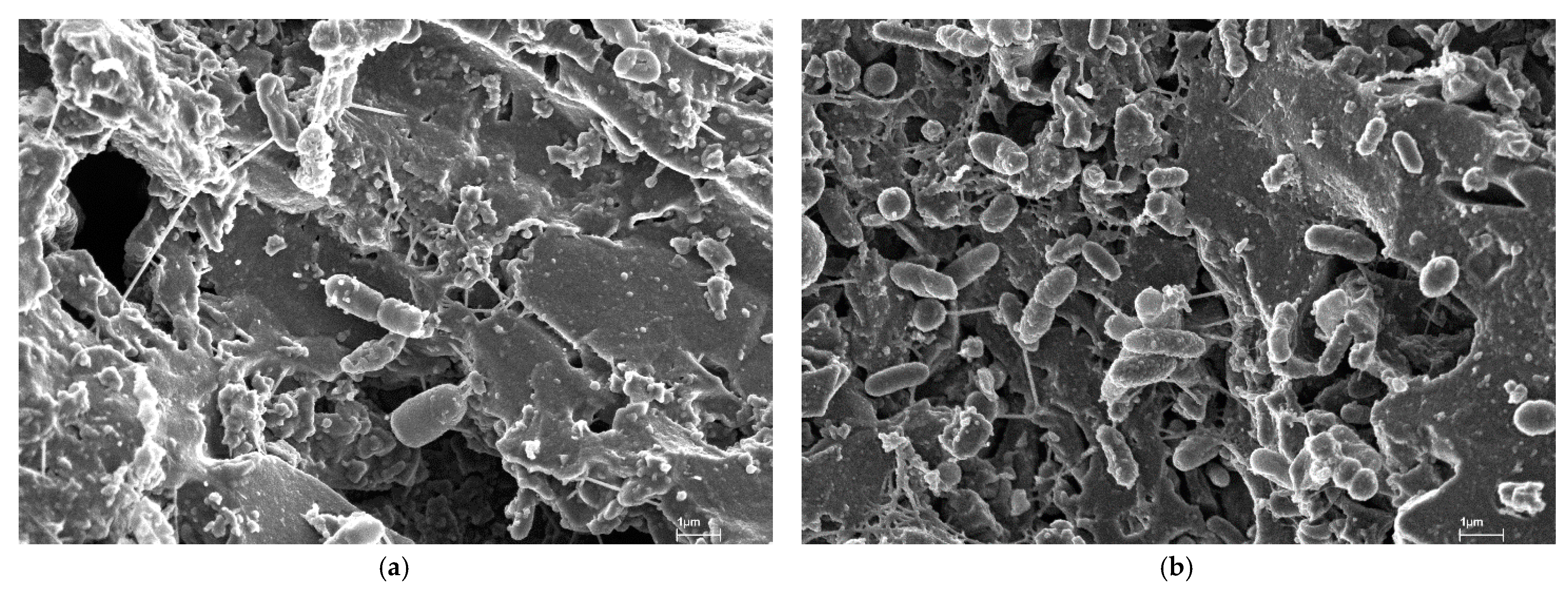 Sustainability 16 00299 g011