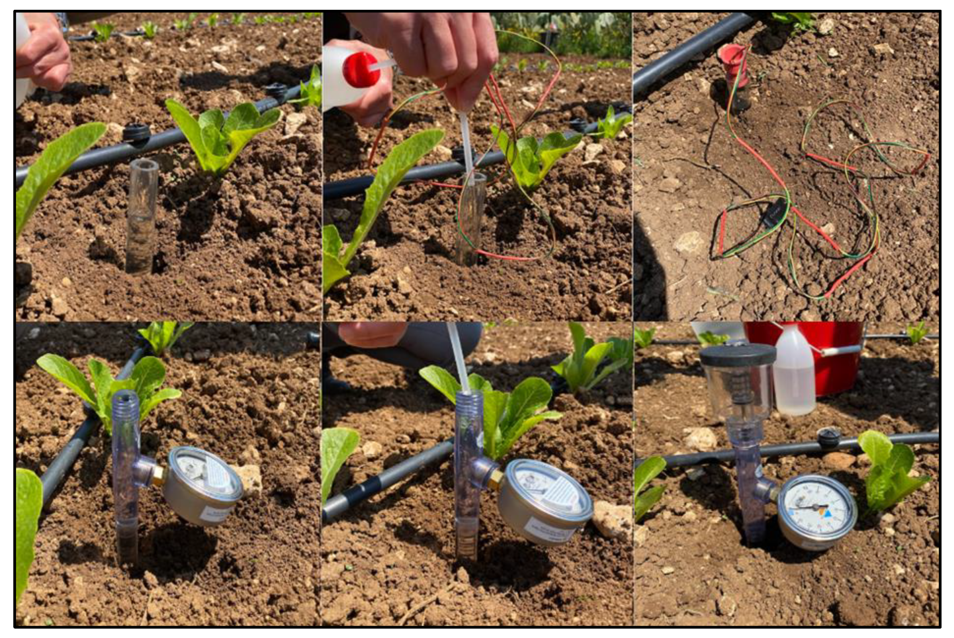 Sustainability 16 00306 g002