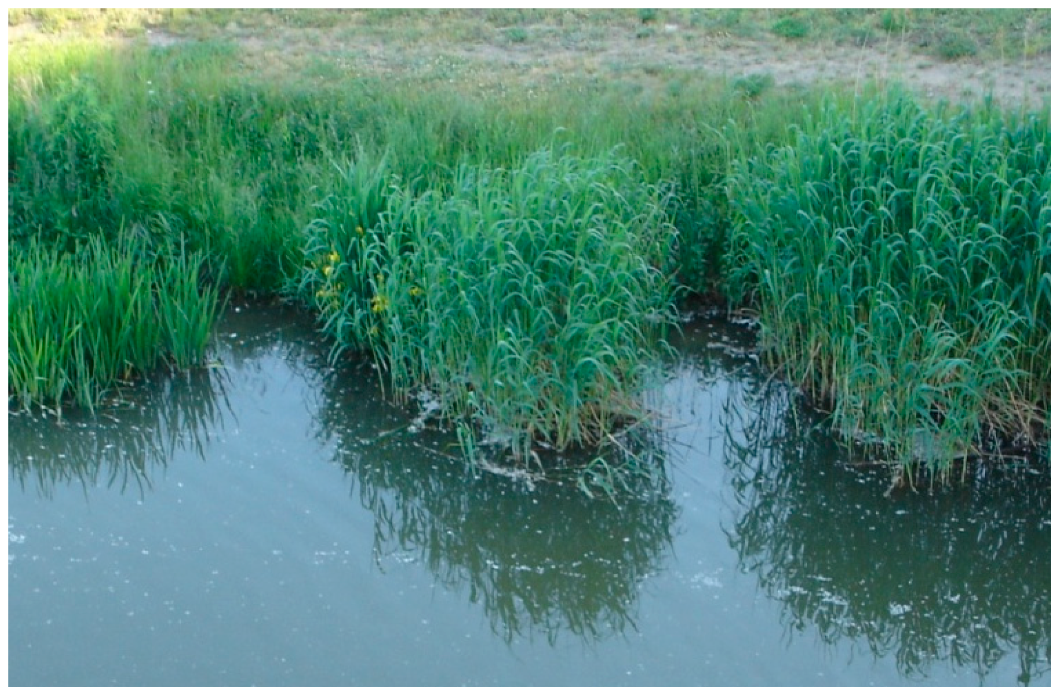 Sustainability 16 00337 g001