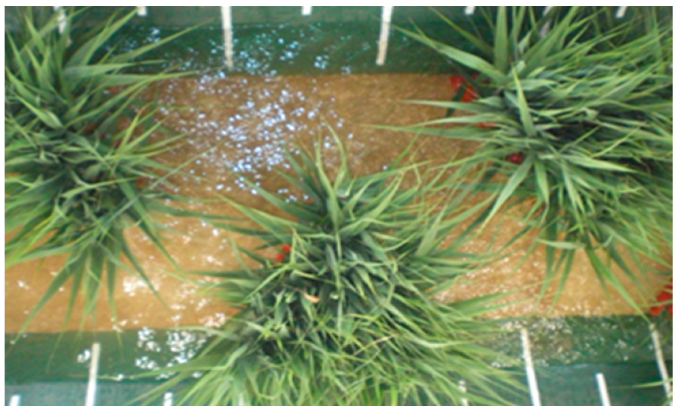 Sustainability 16 00337 g003