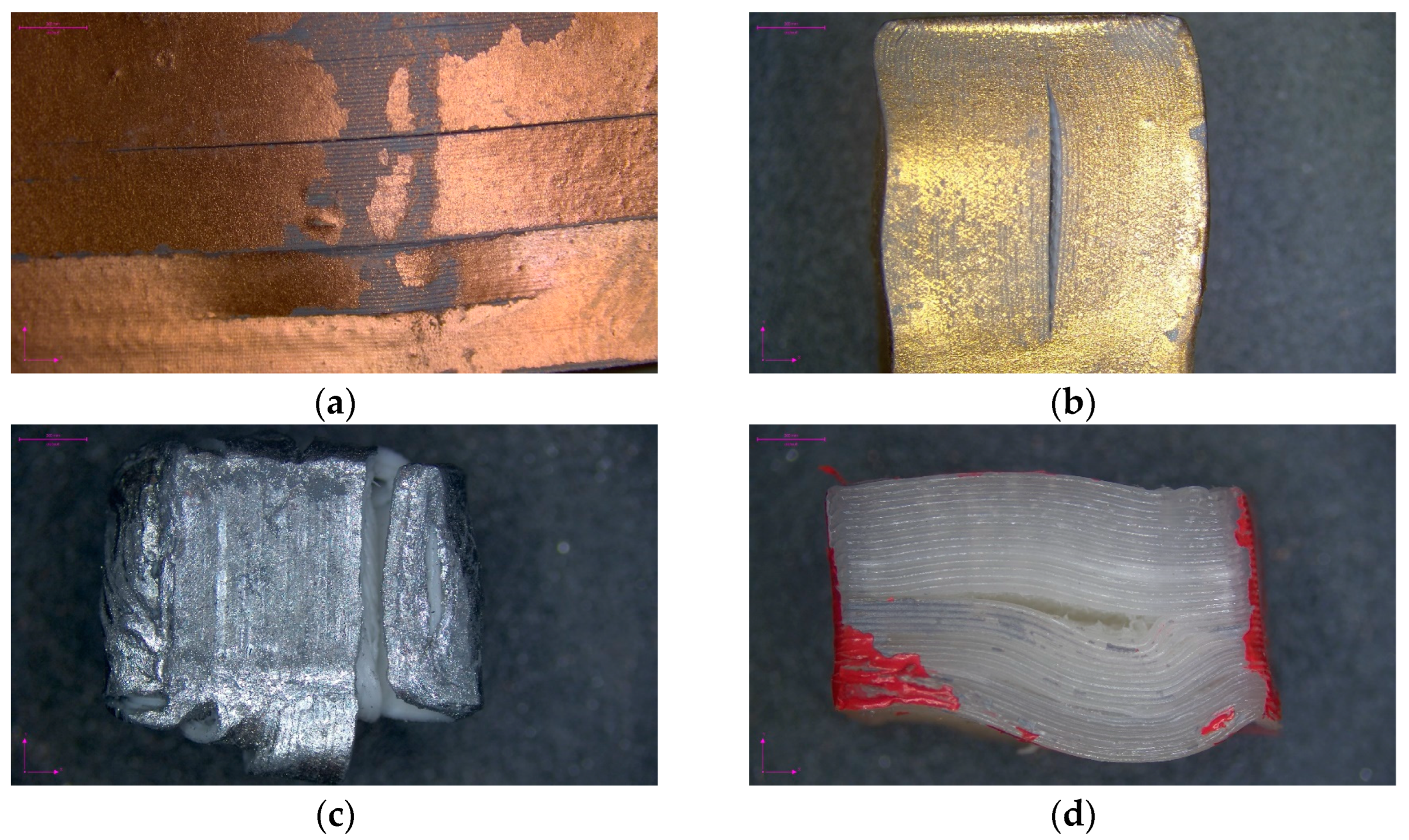 Sustainability 16 00356 g009