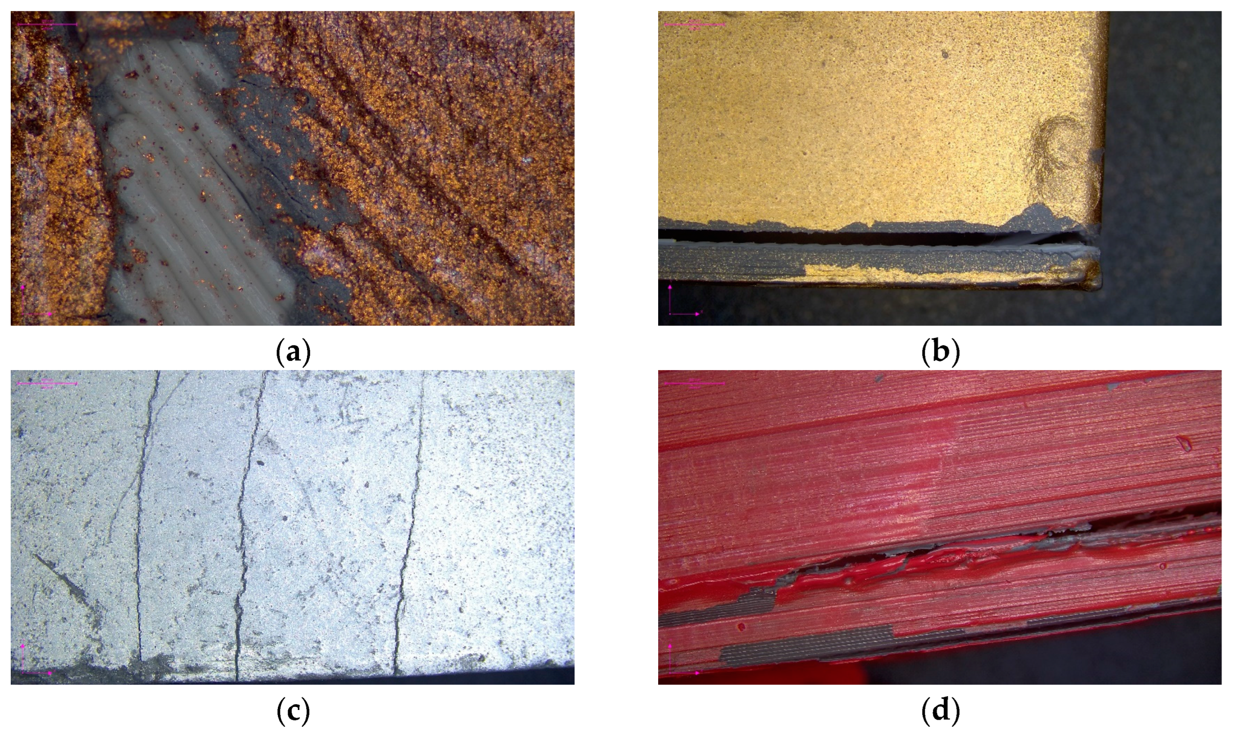 Sustainability 16 00356 g012