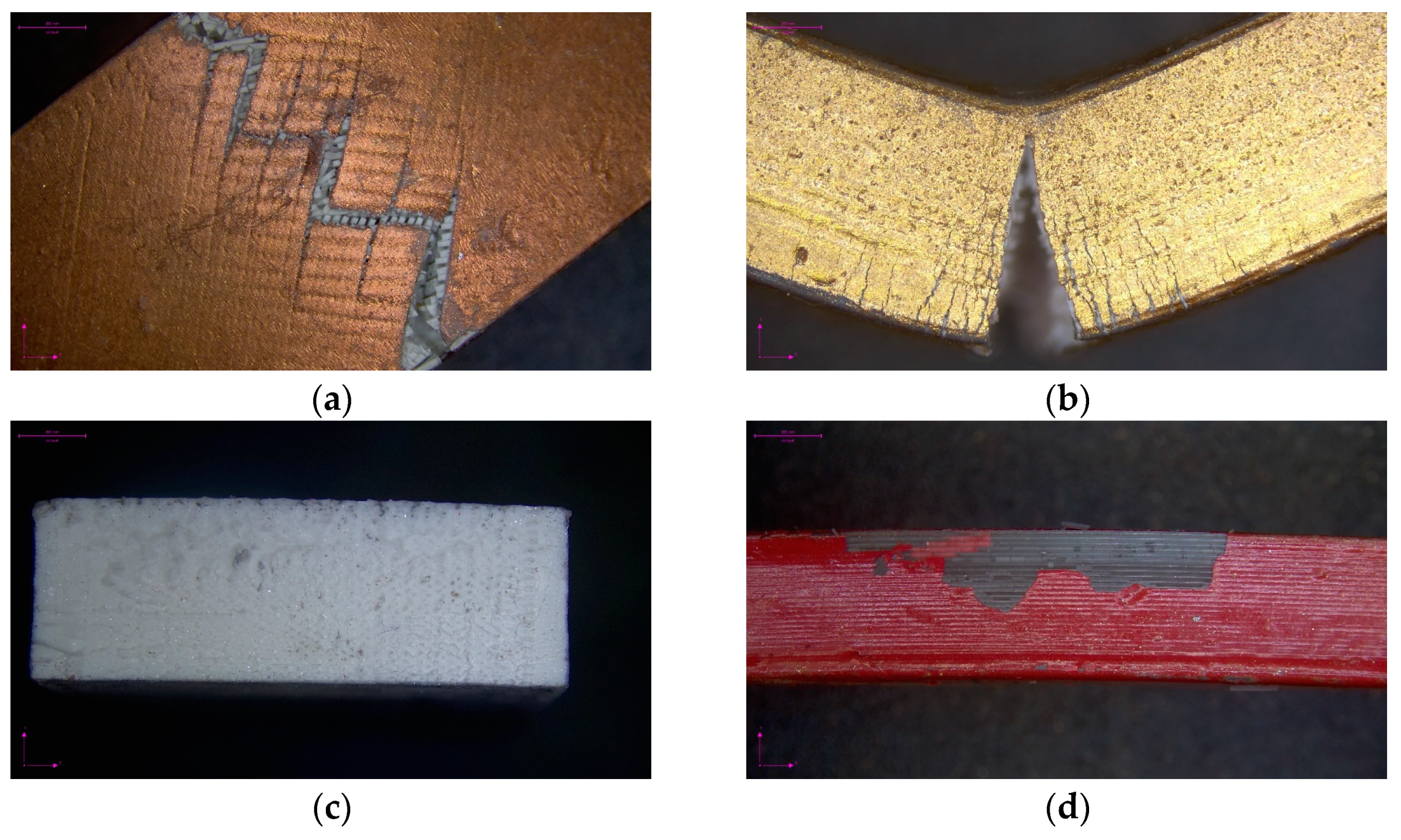 Sustainability 16 00356 g015