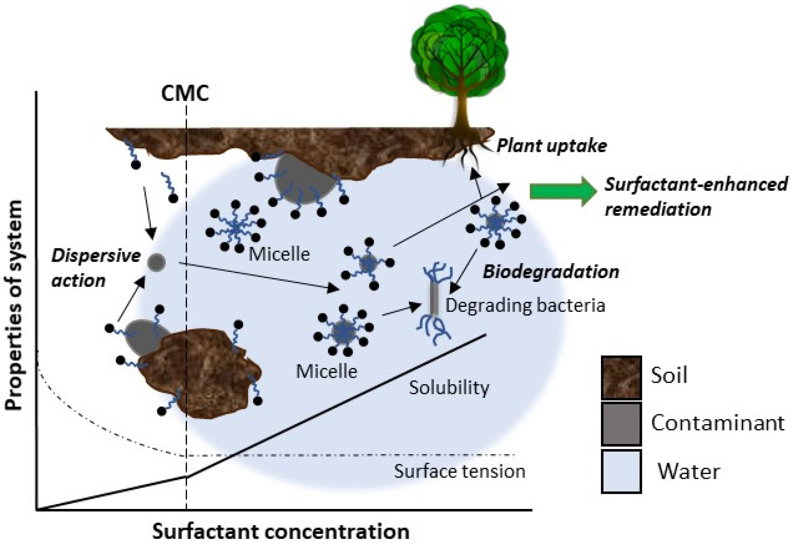 Sustainability 16 00449 g006