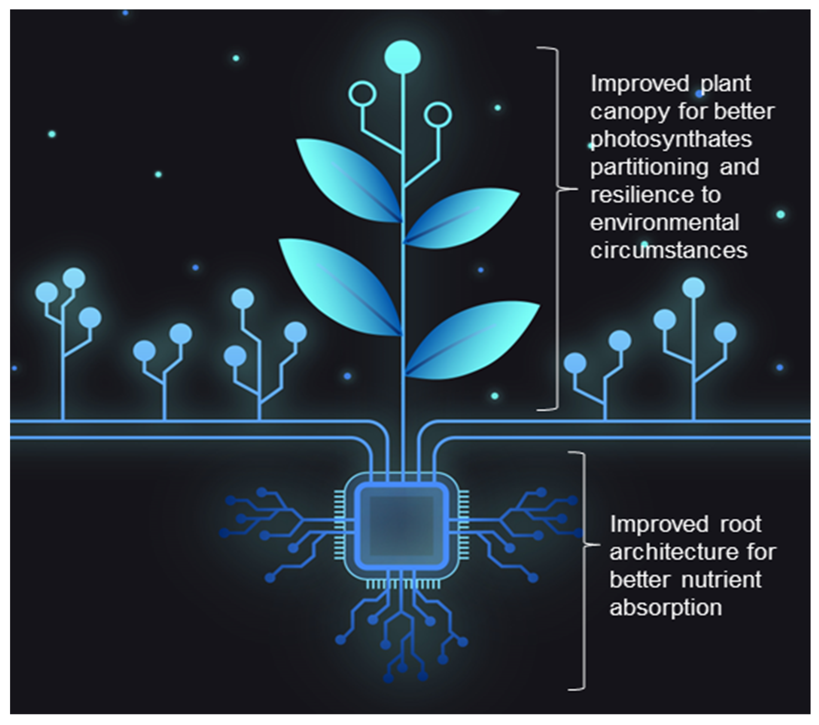 Sustainability 16 00475 g007