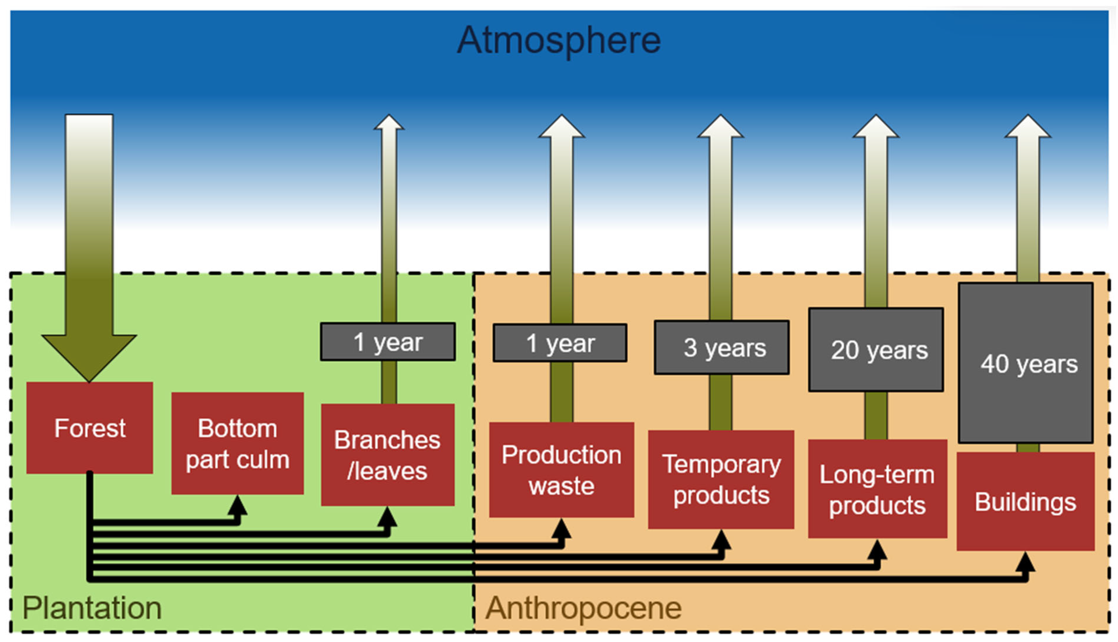 Sustainability 16 00498 g004