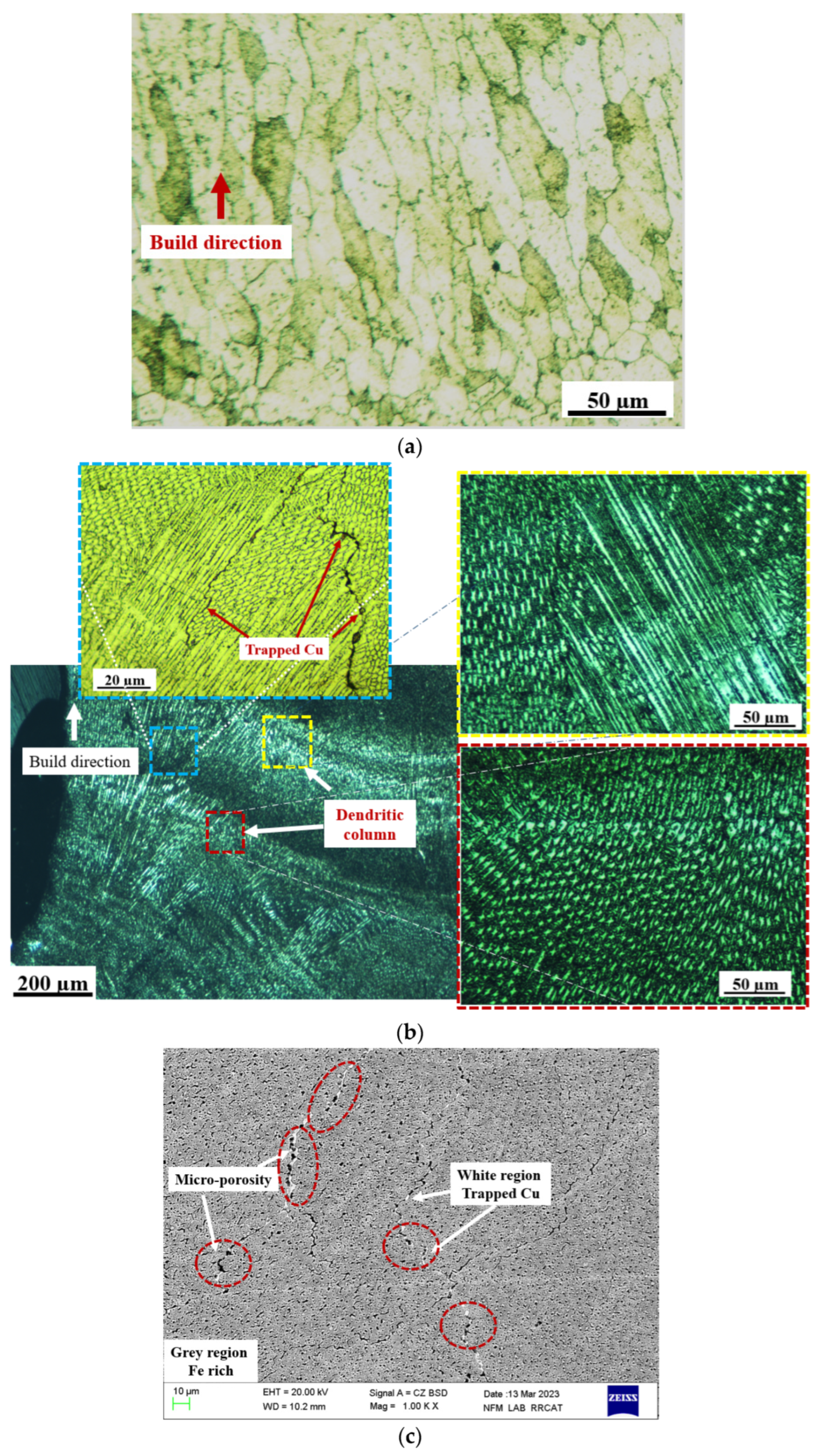 Sustainability 16 00519 g005