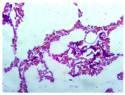 Sustainability 16 00563 i002