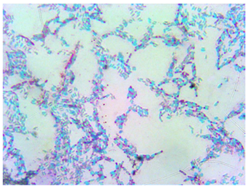 Sustainability 16 00563 i006