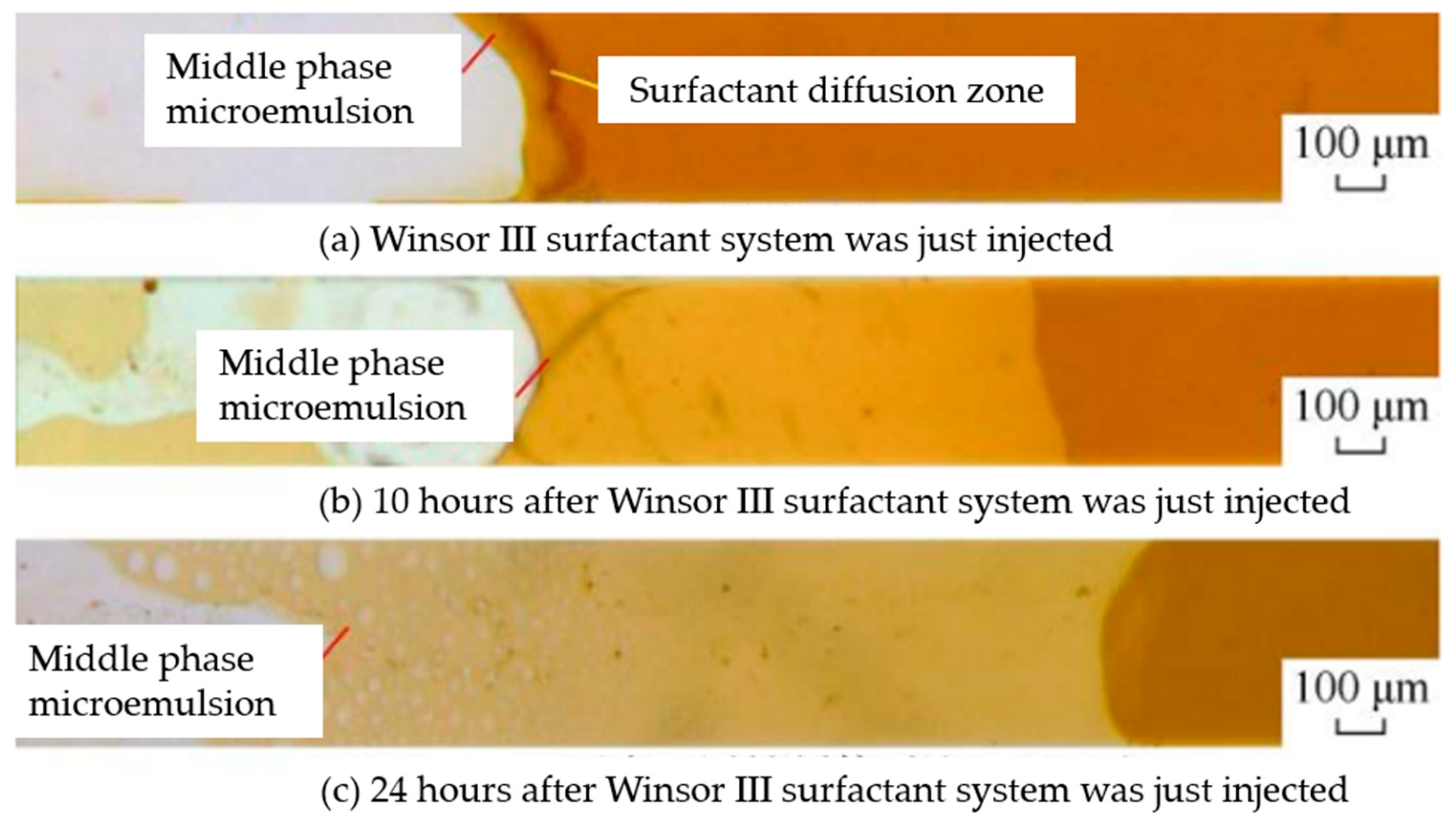 Sustainability 16 00629 g006