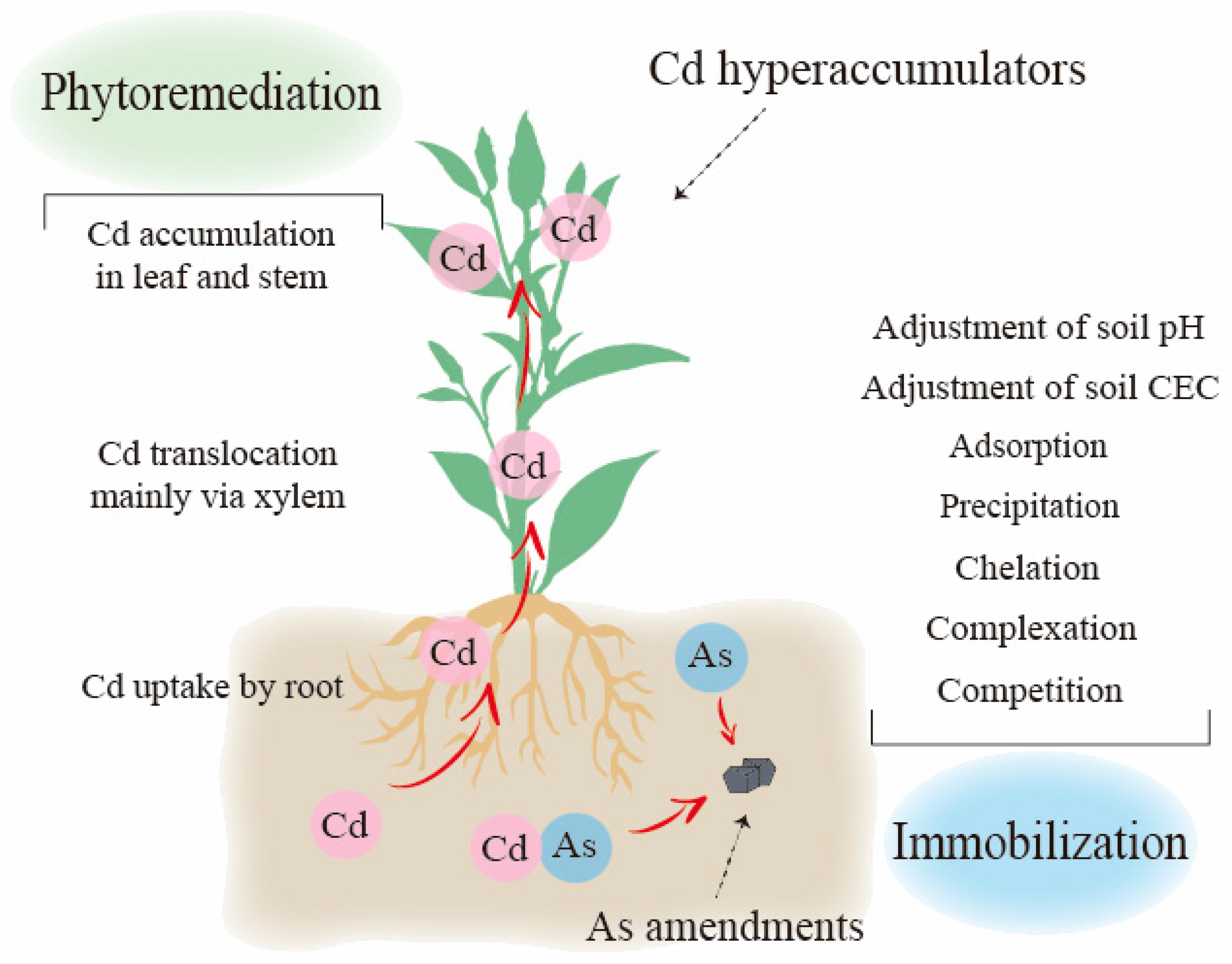Sustainability 16 00687 g004
