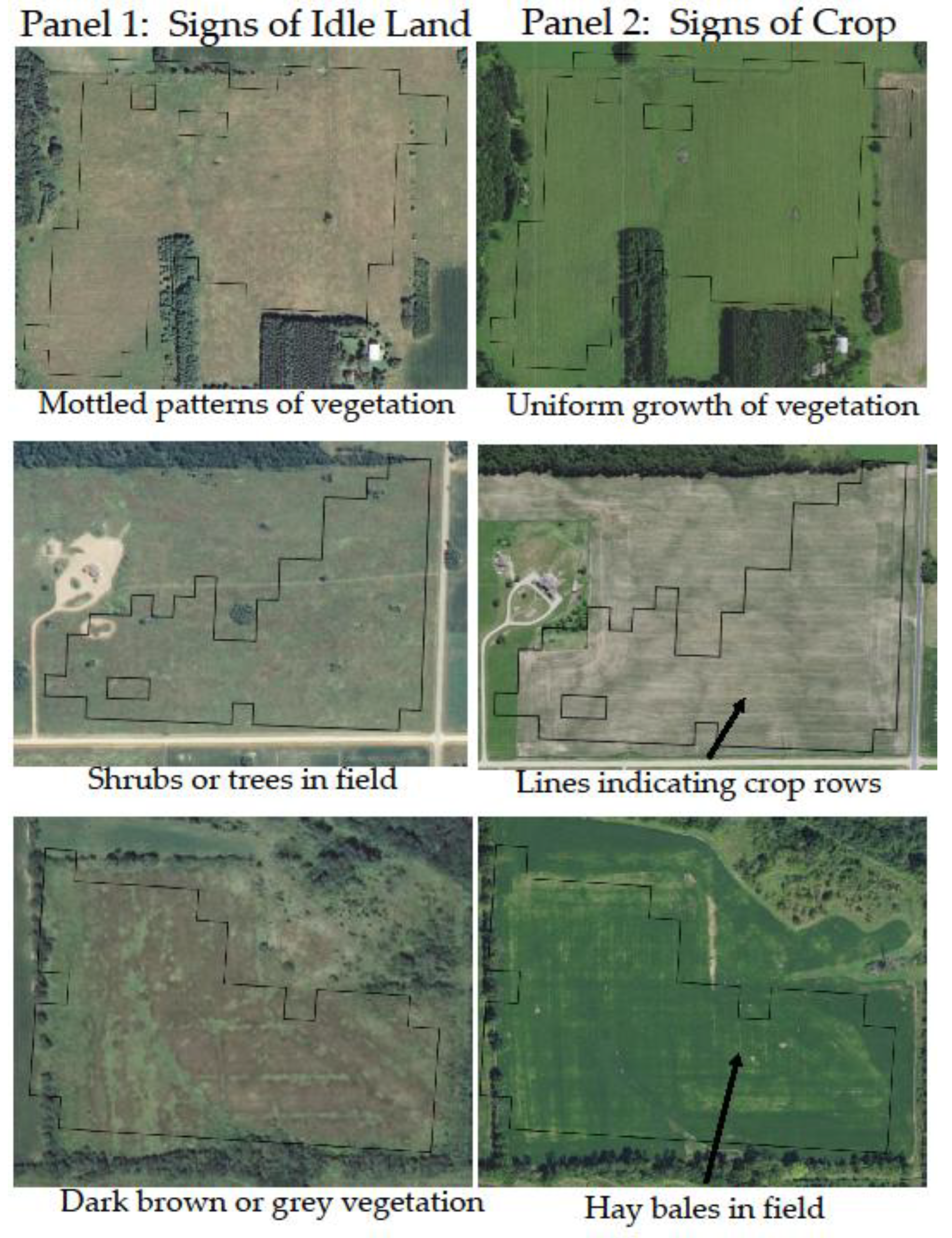 Sustainability 16 00734 g003
