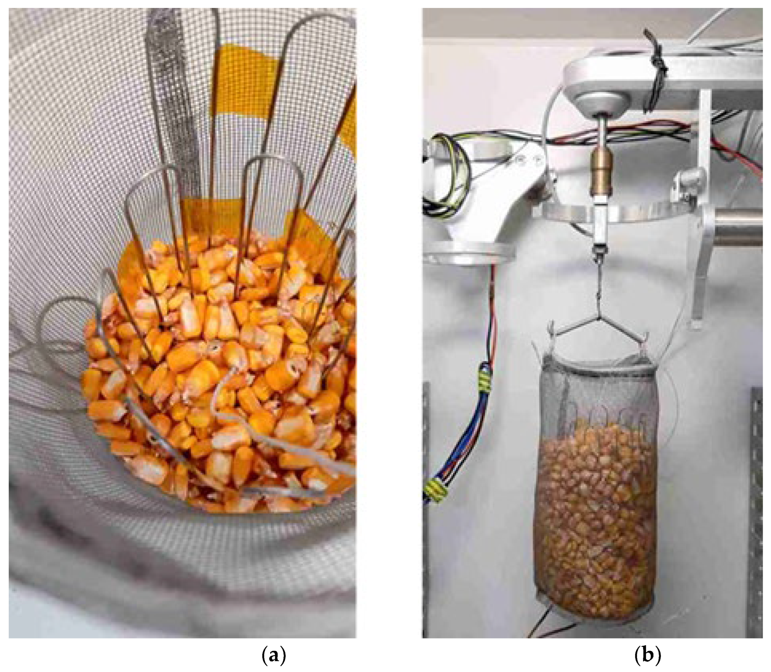 Sustainability 16 00879 g002