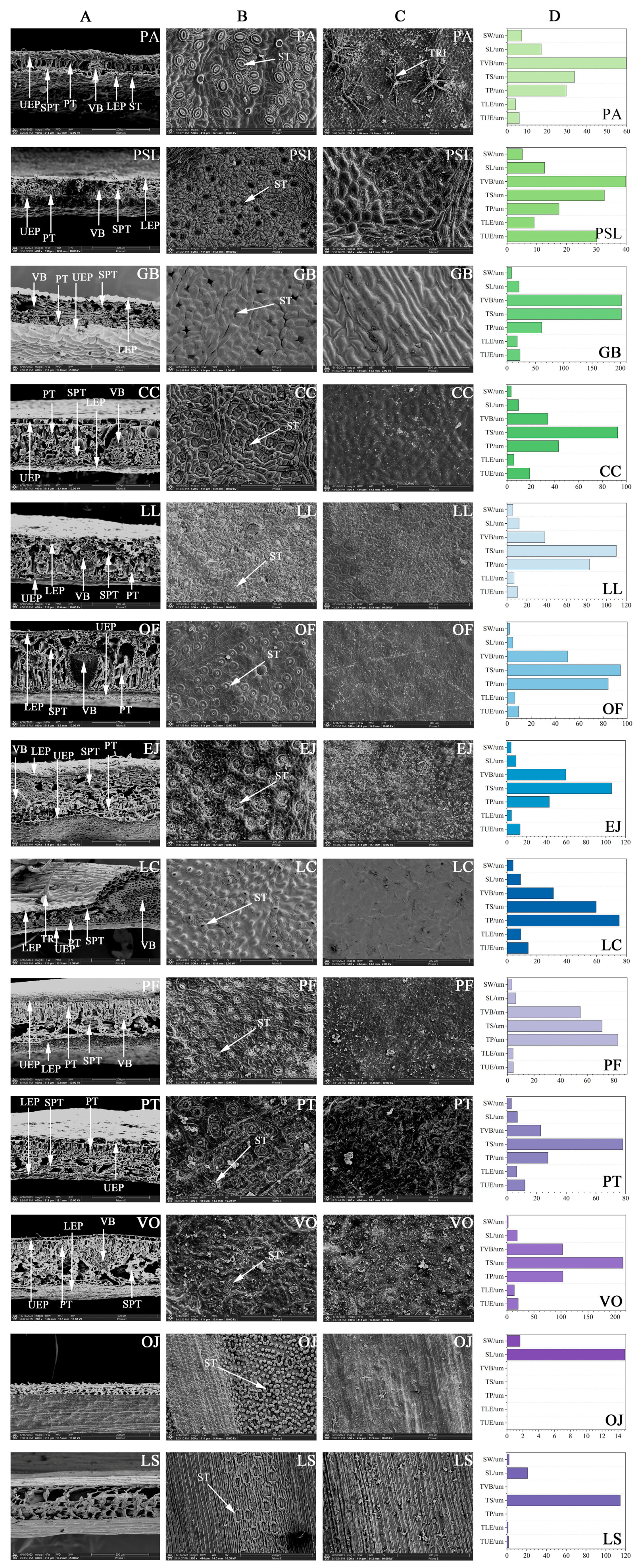 Sustainability 16 00917 g005