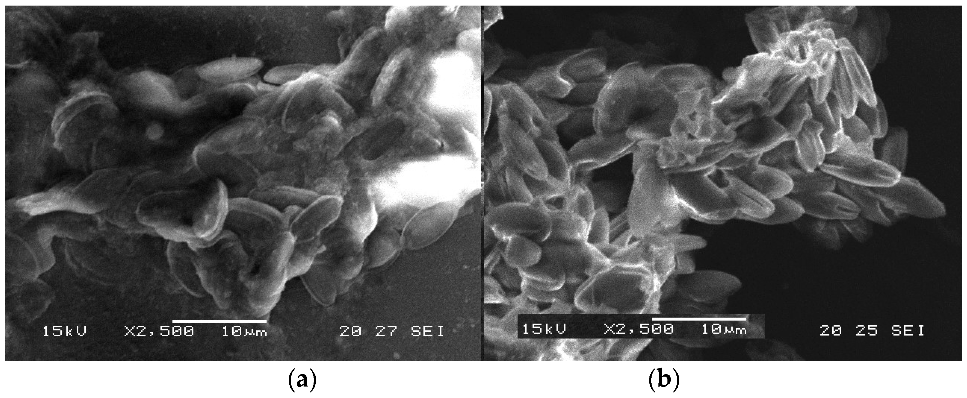 Sustainability 16 00918 g010