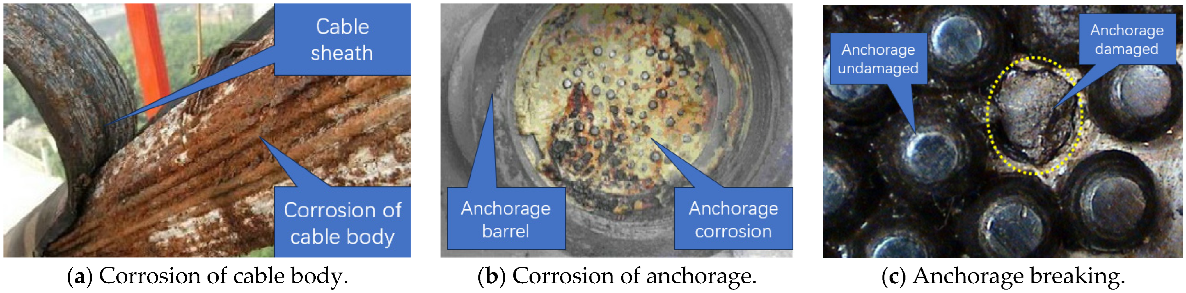 Sustainability 16 00923 g001