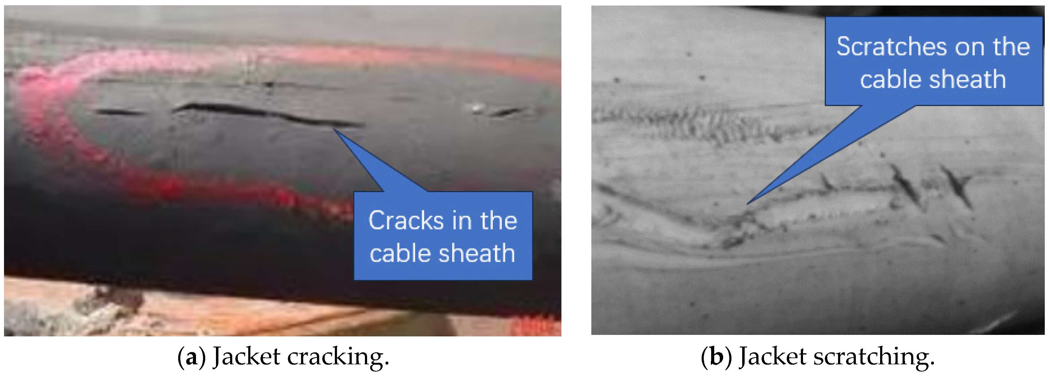 Sustainability 16 00923 g002