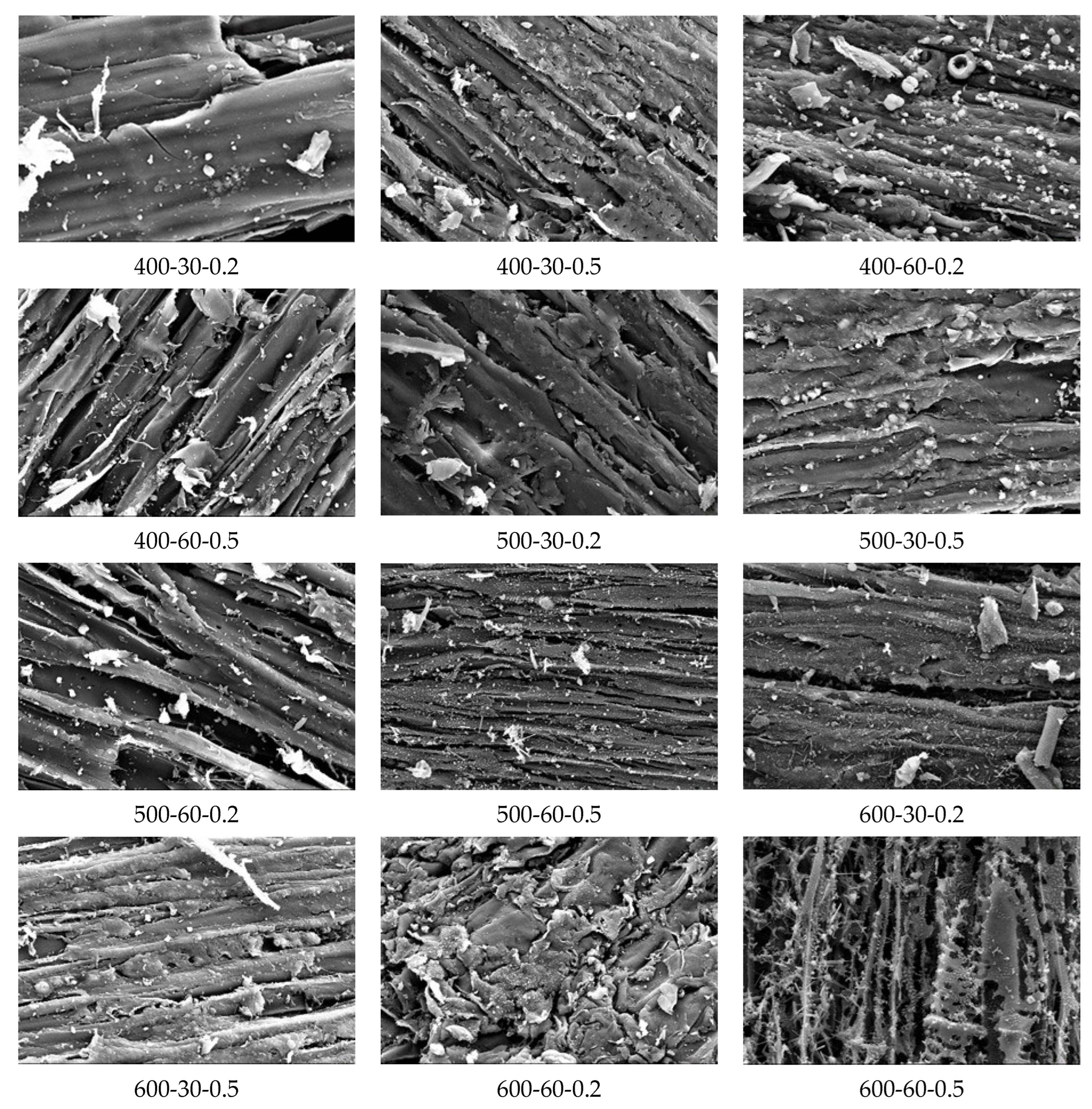 Sustainability 16 00937 g013