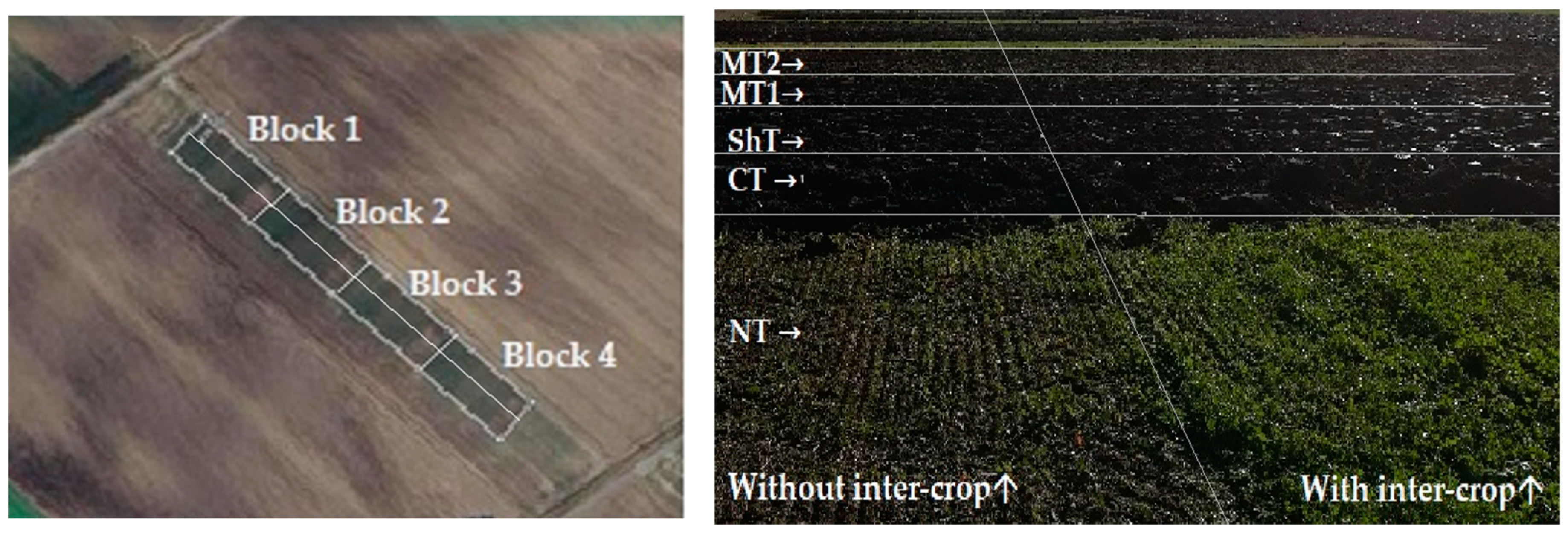 Sustainability 16 00953 g001