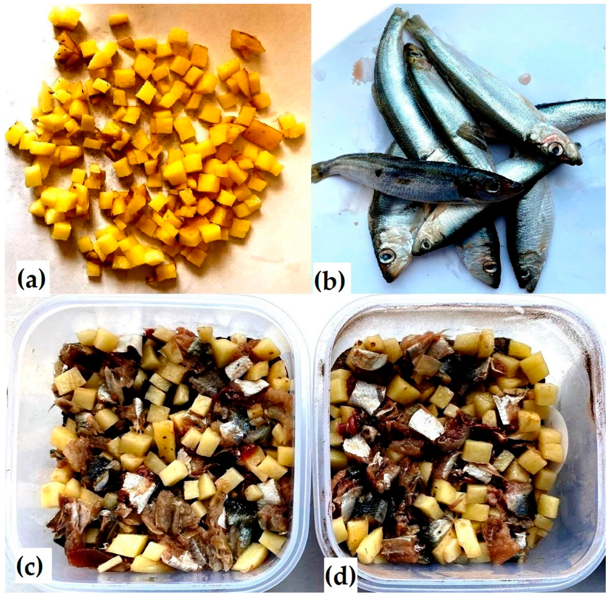 Sustainability 16 01097 g002