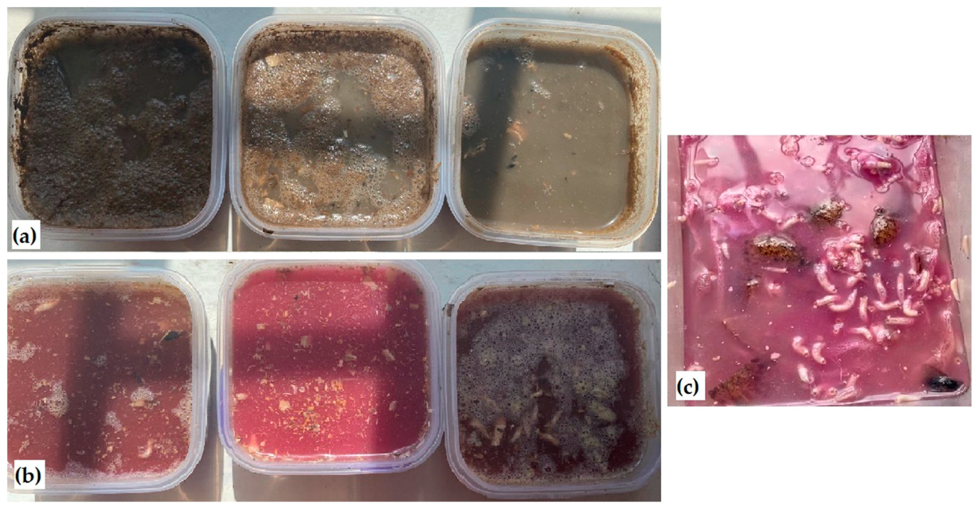 Sustainability 16 01097 g005