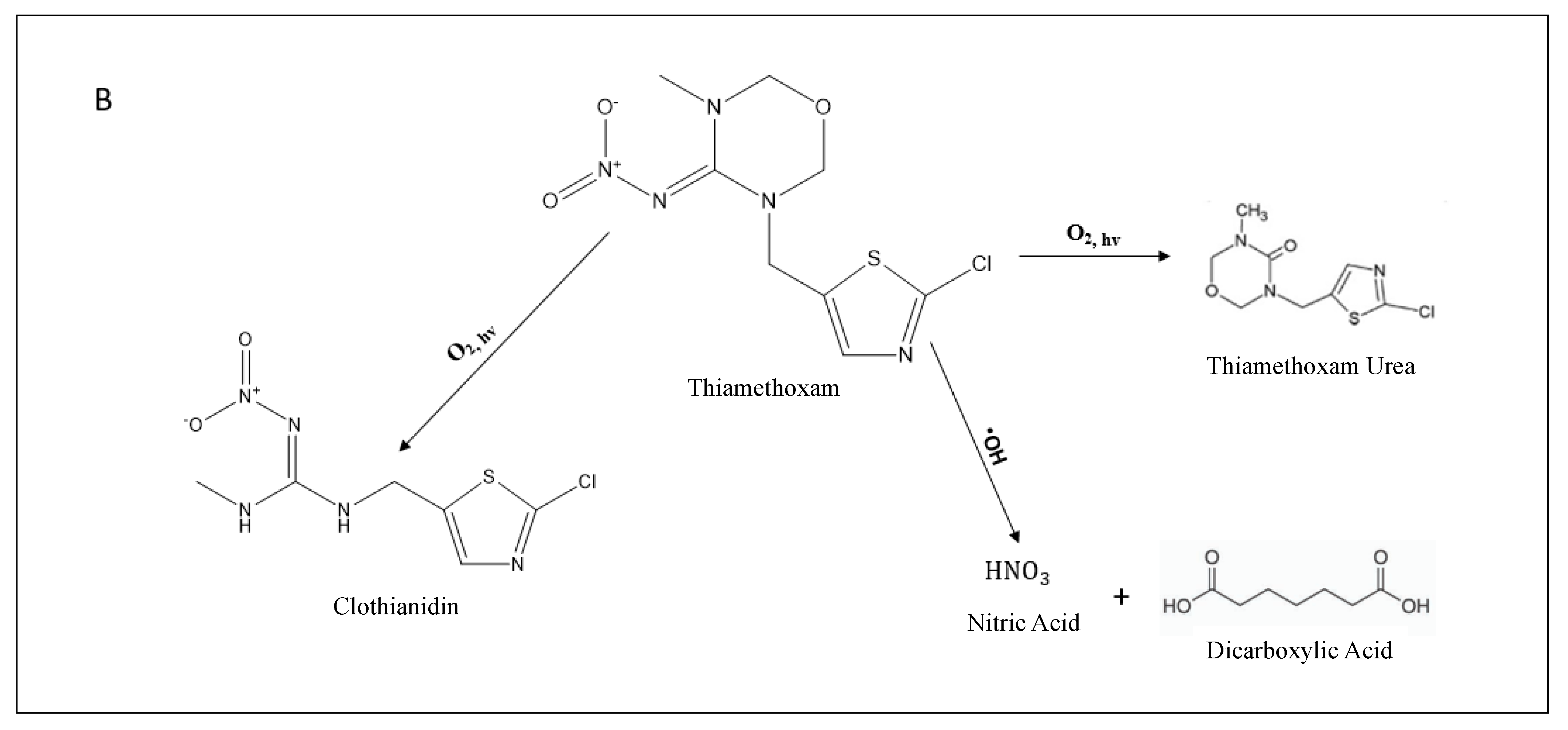 Sustainability 16 01181 g004b