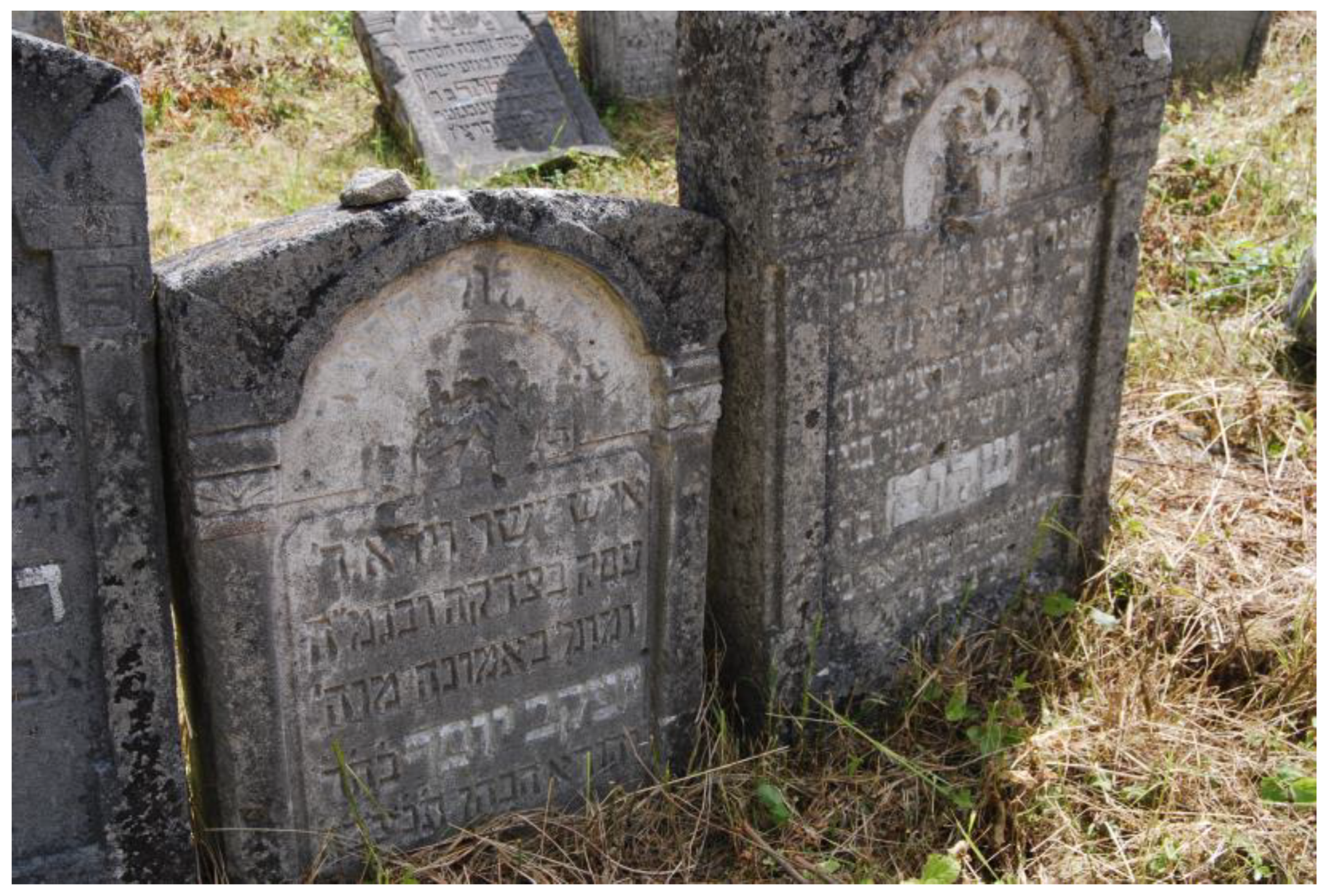 Sustainability 16 01188 g009